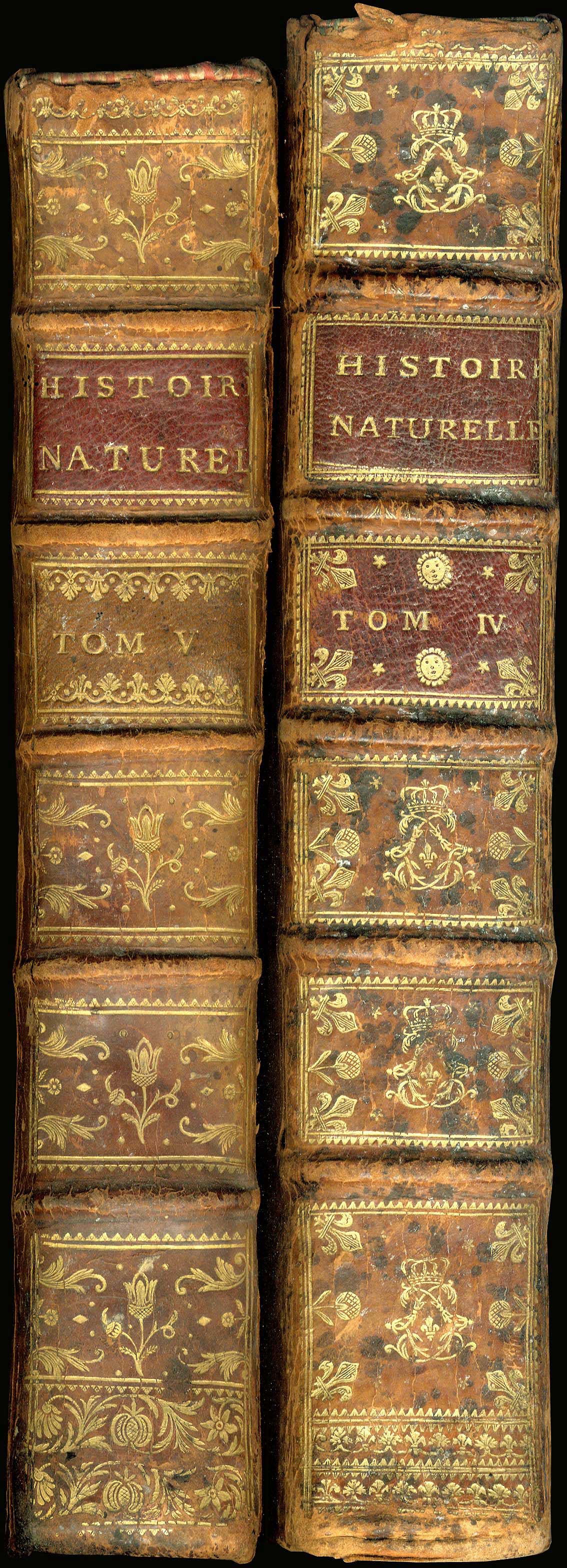 Lot 08286