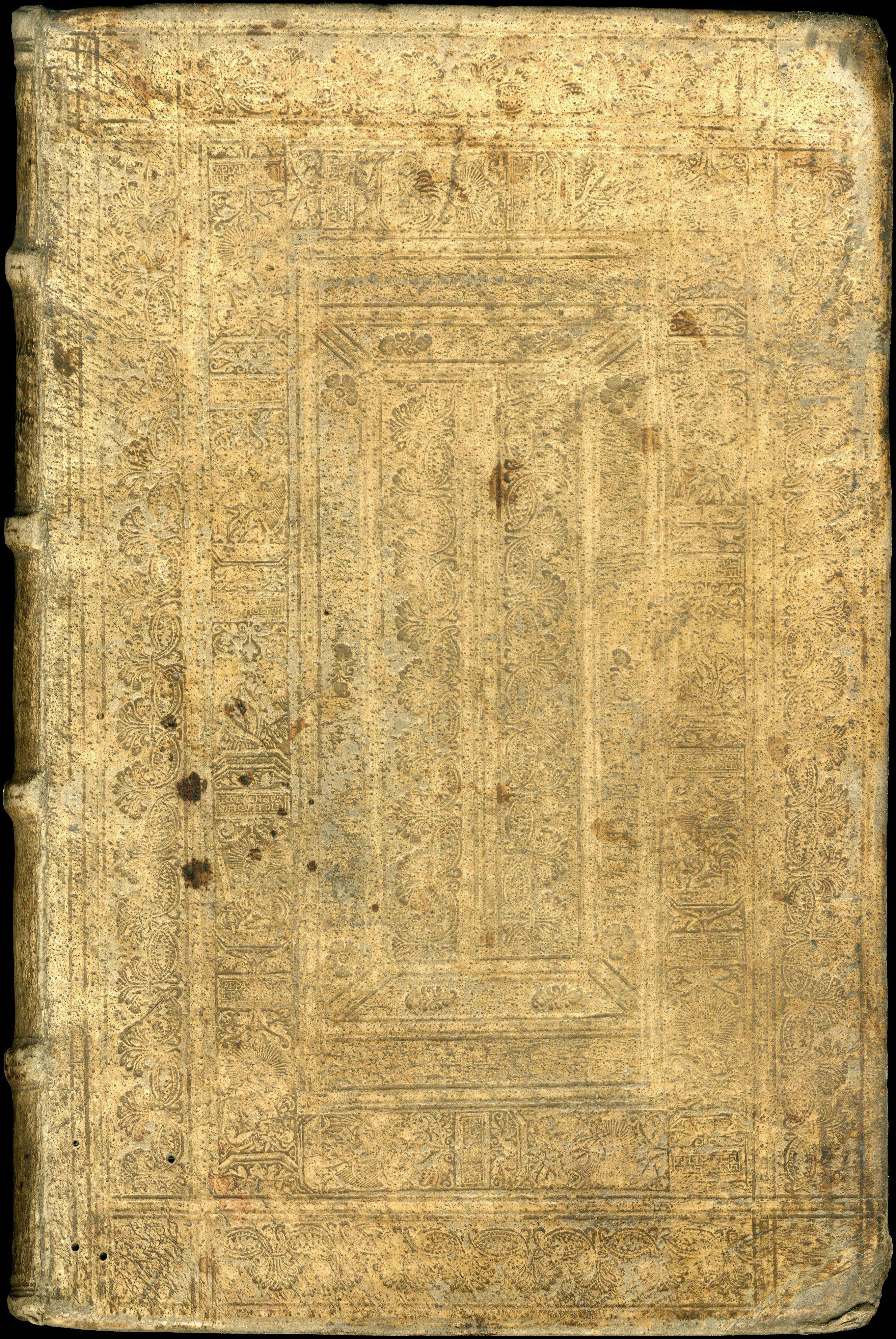Lot 08004