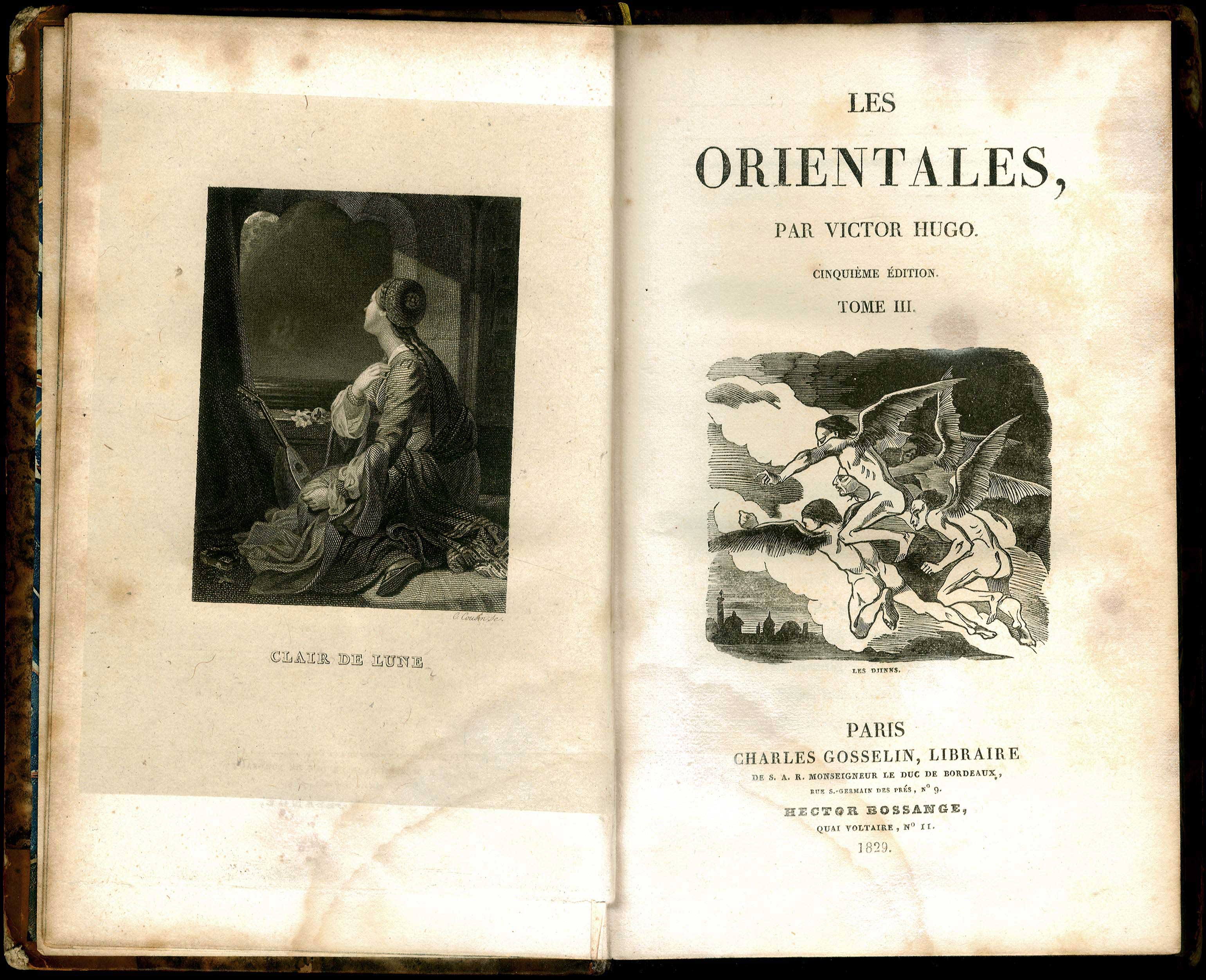 Lot 08311