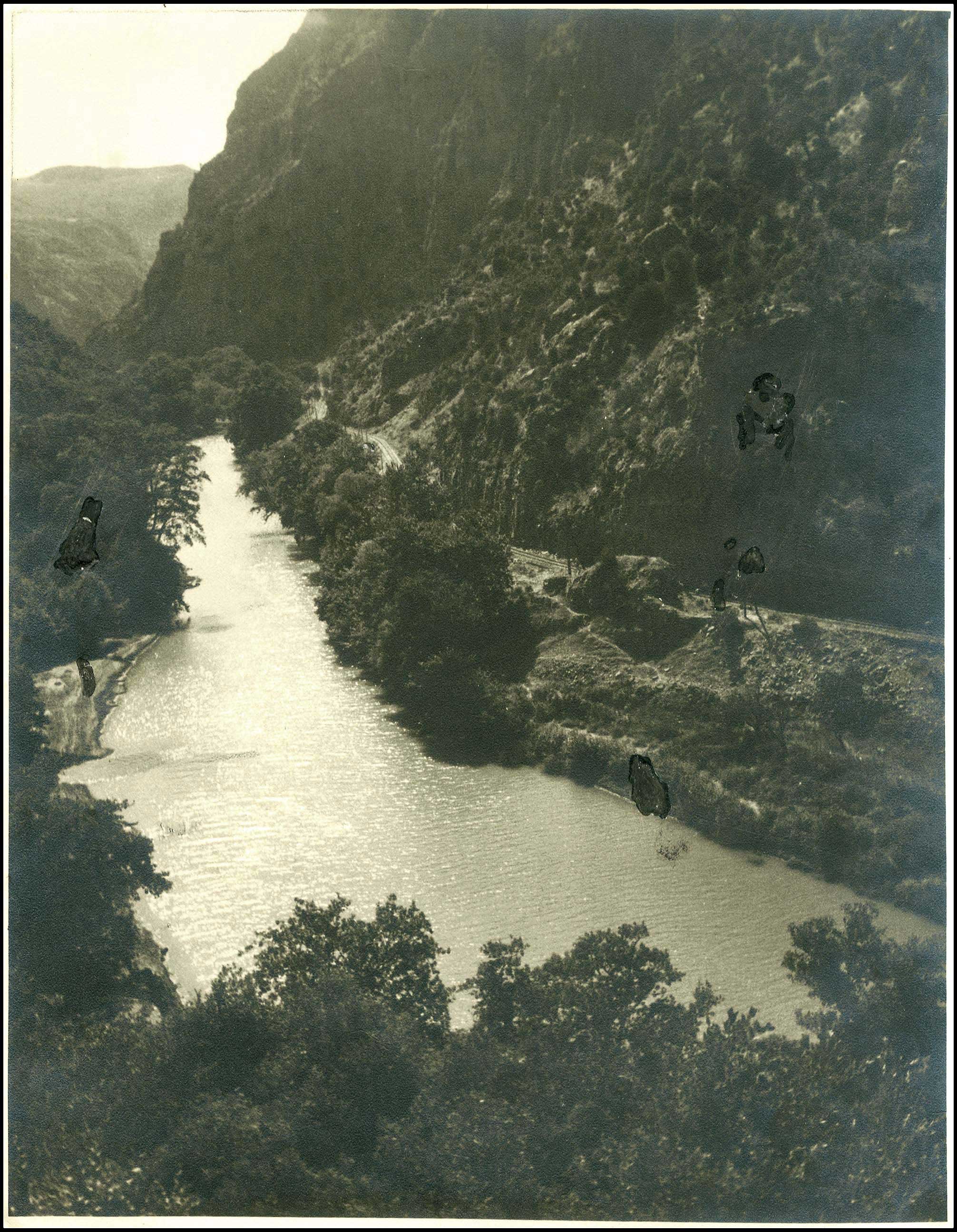 Lot 08931