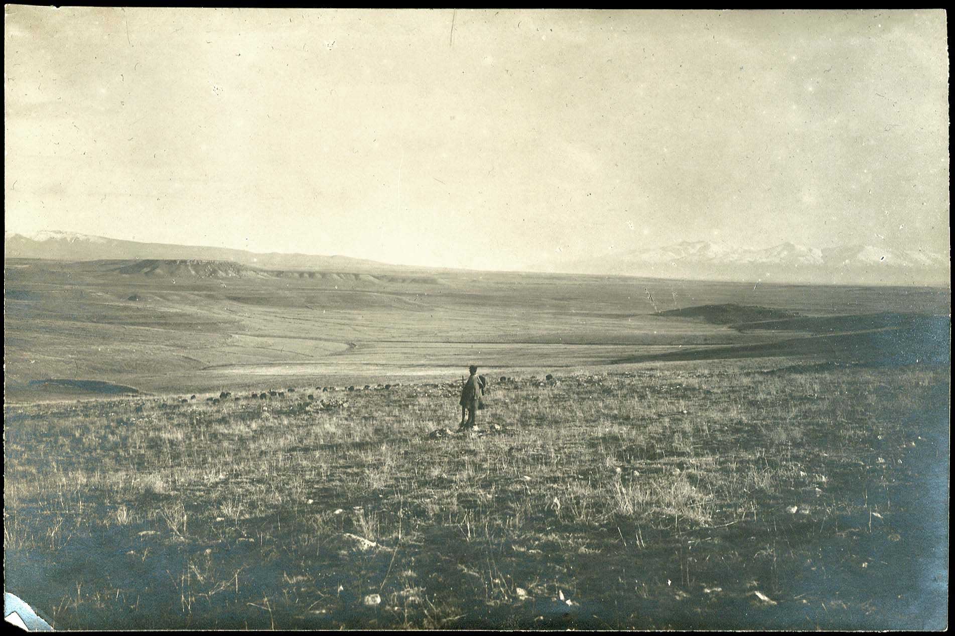 Lot 08908