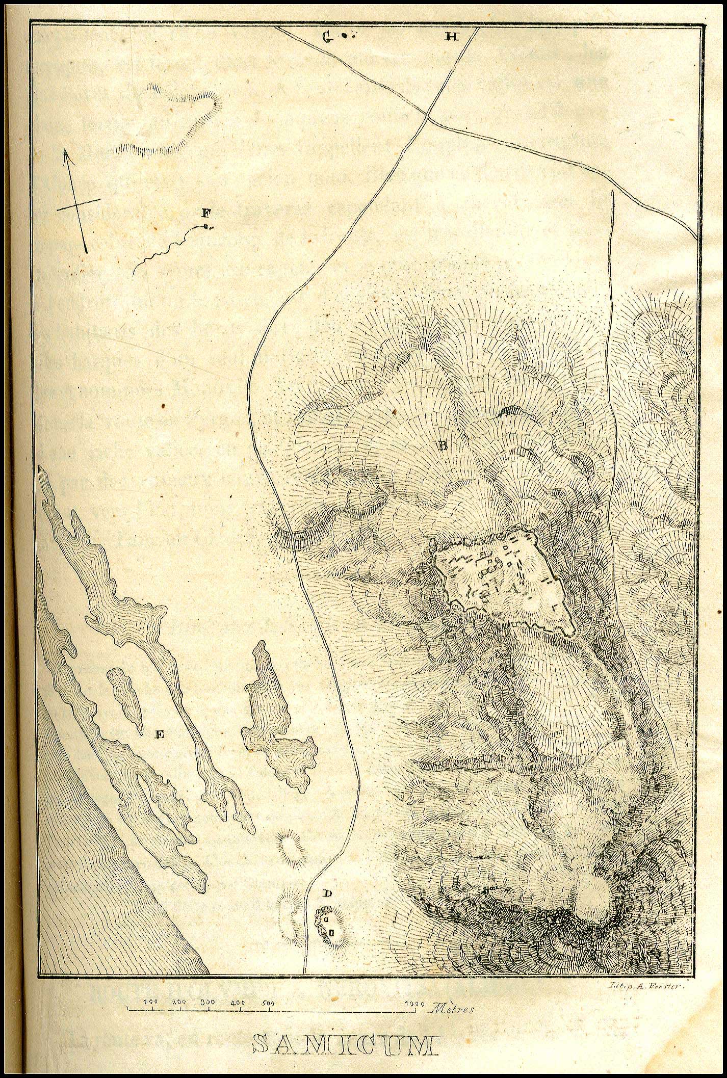 Lot 08038