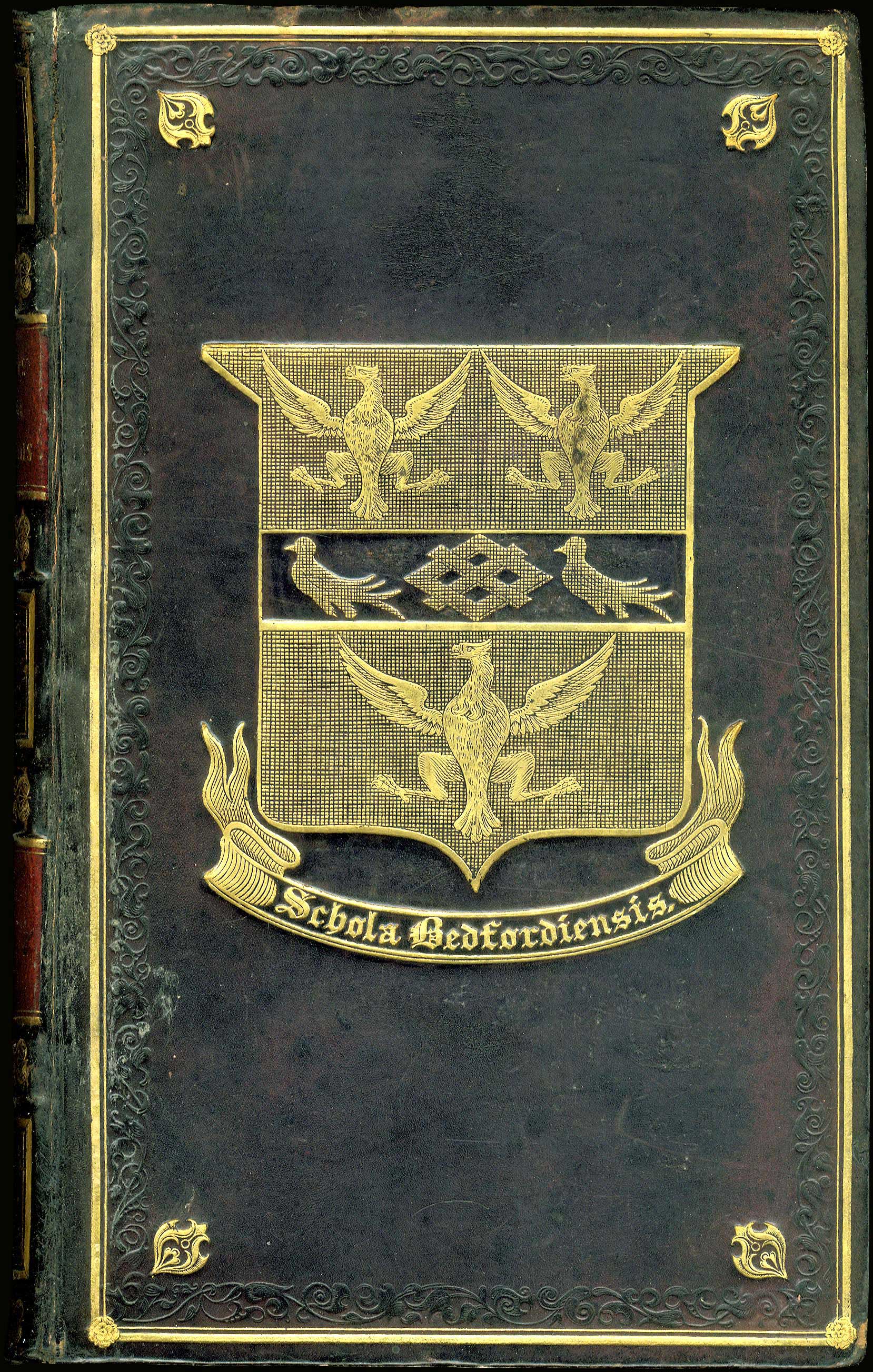 Lot 08098
