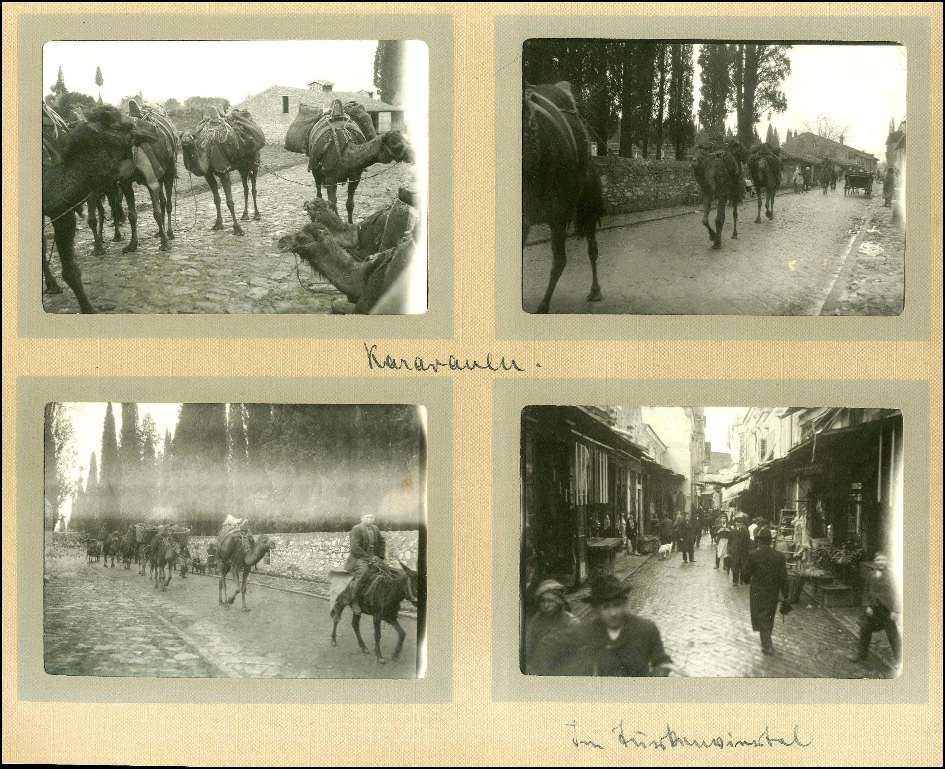 Lot 08792