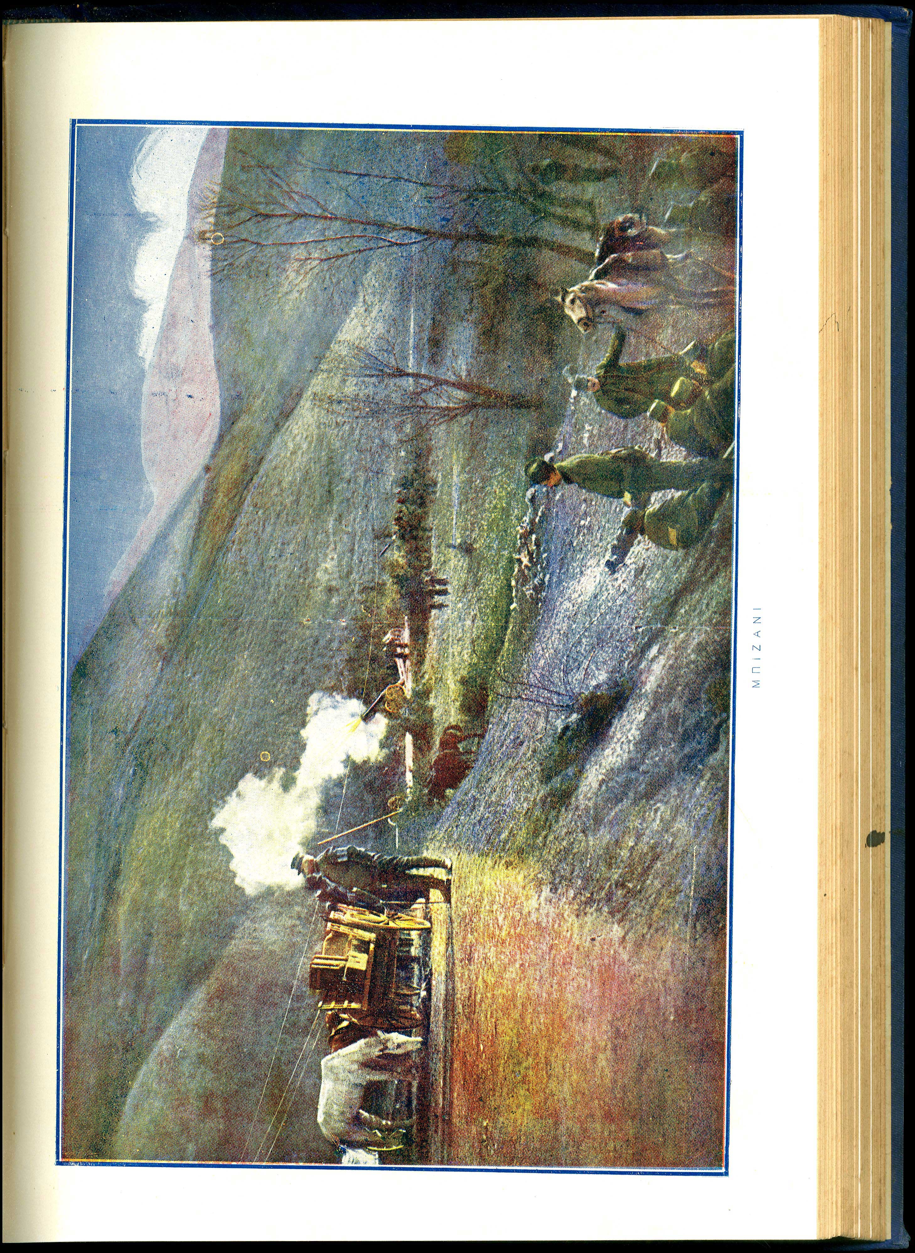 Lot 08138