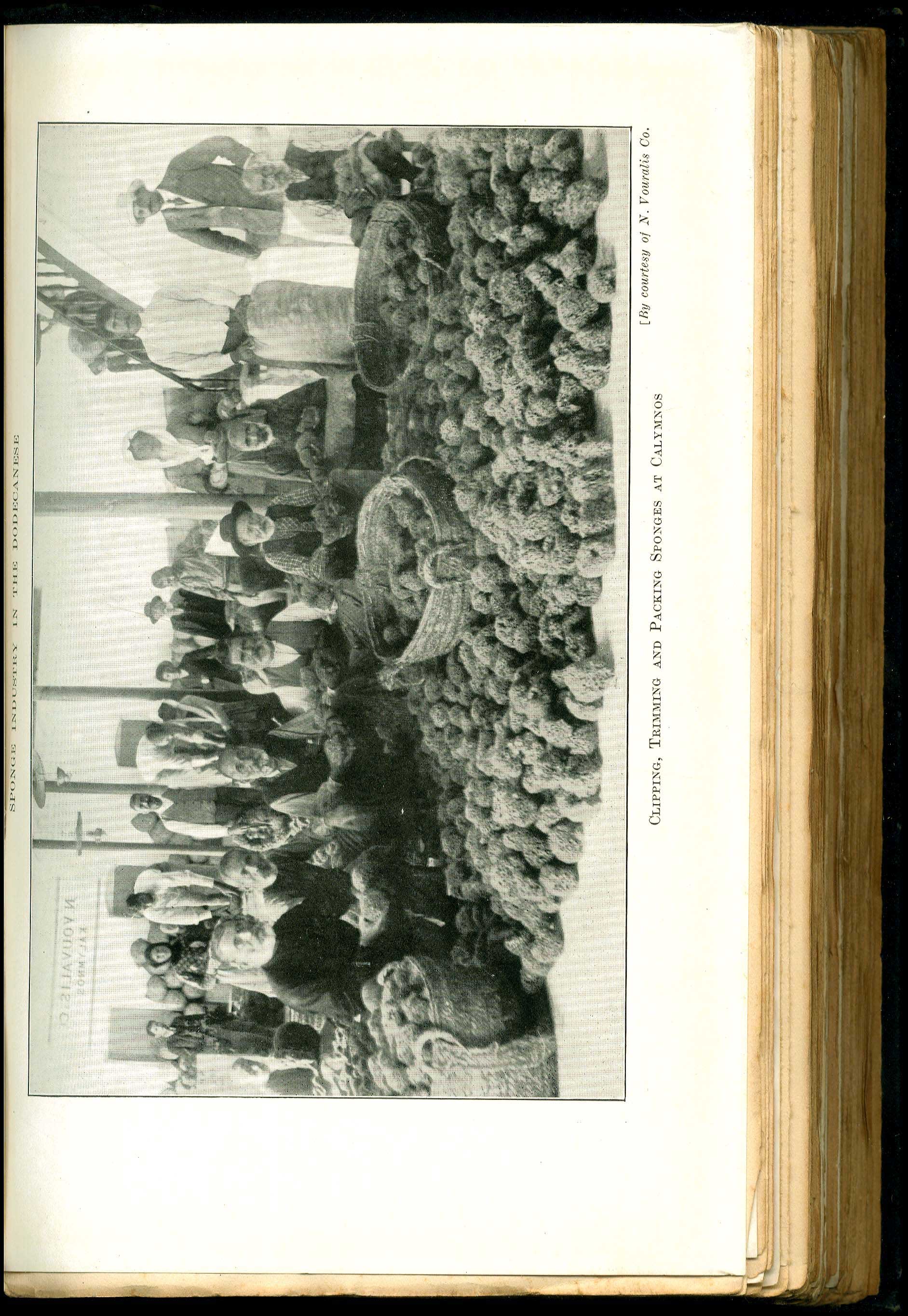 Lot 08179