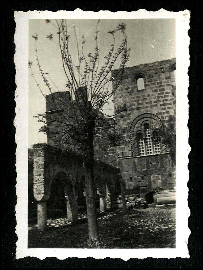 Lot 08803