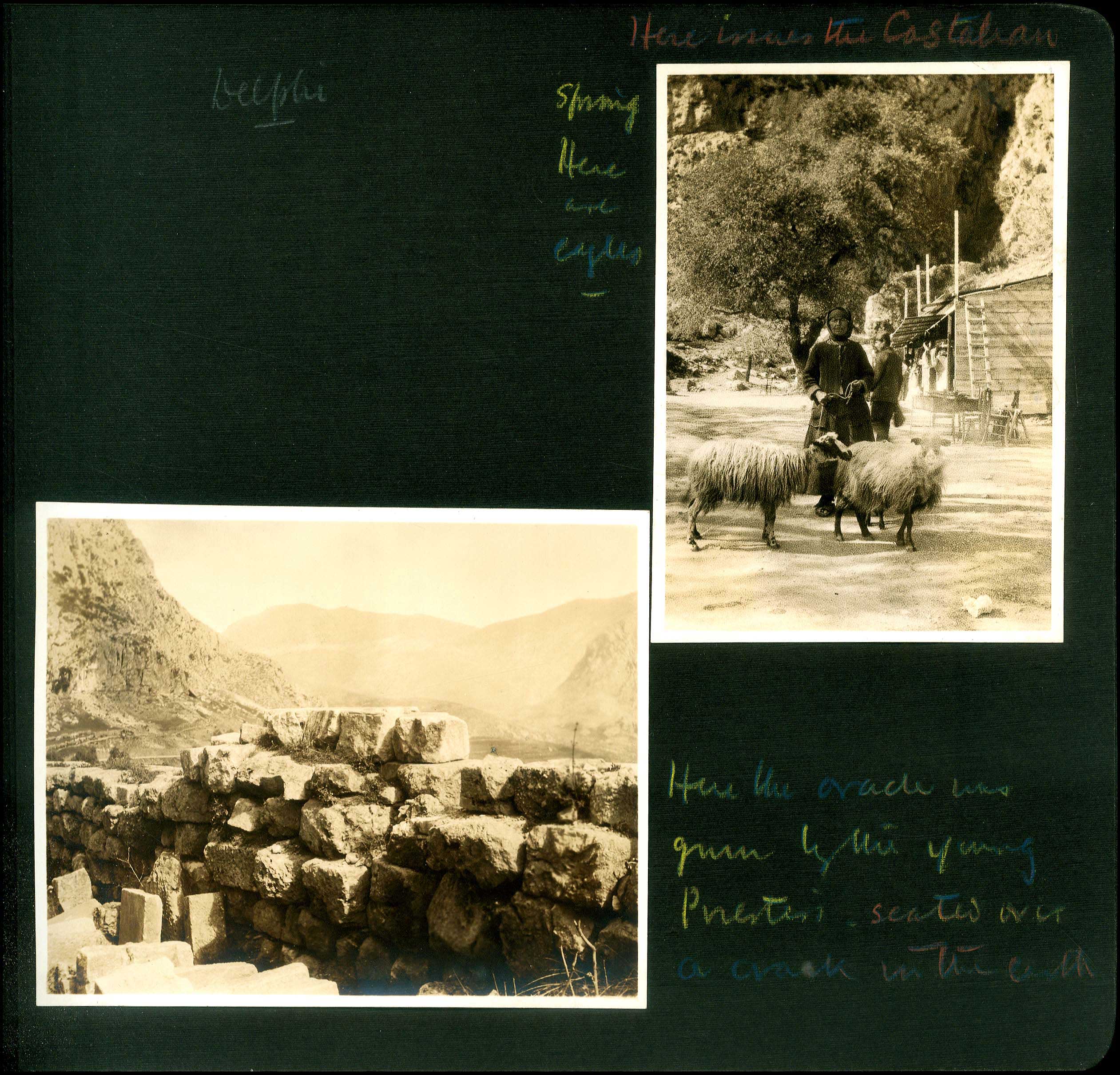 Lot 08803