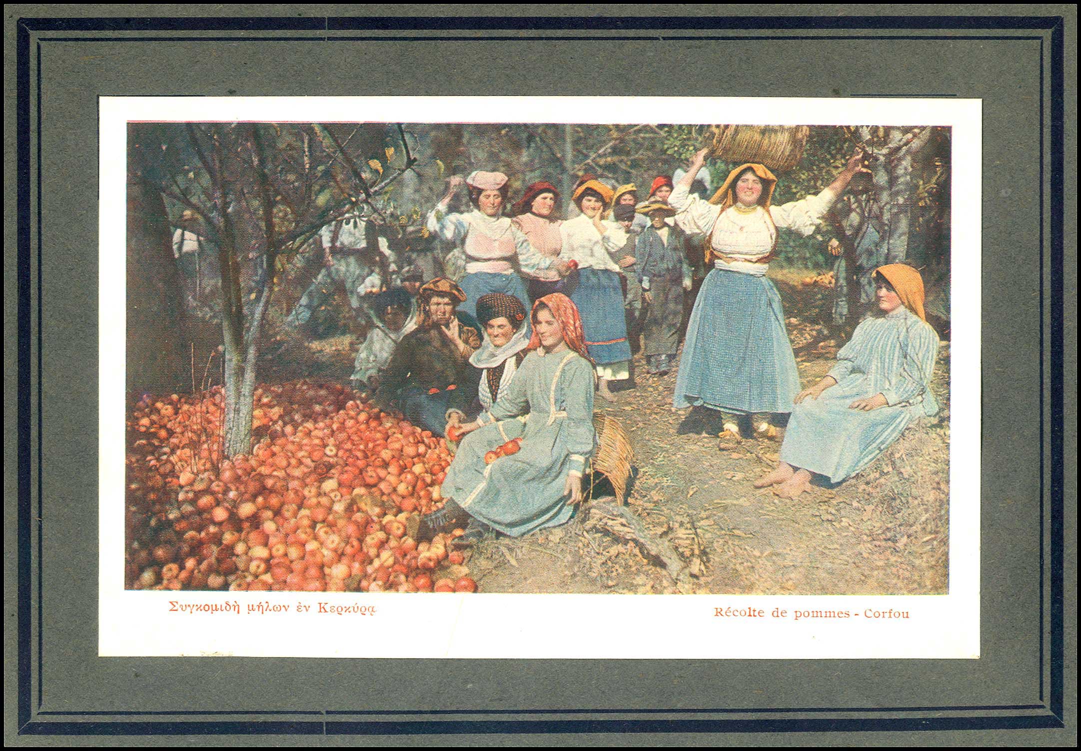 Lot 08799