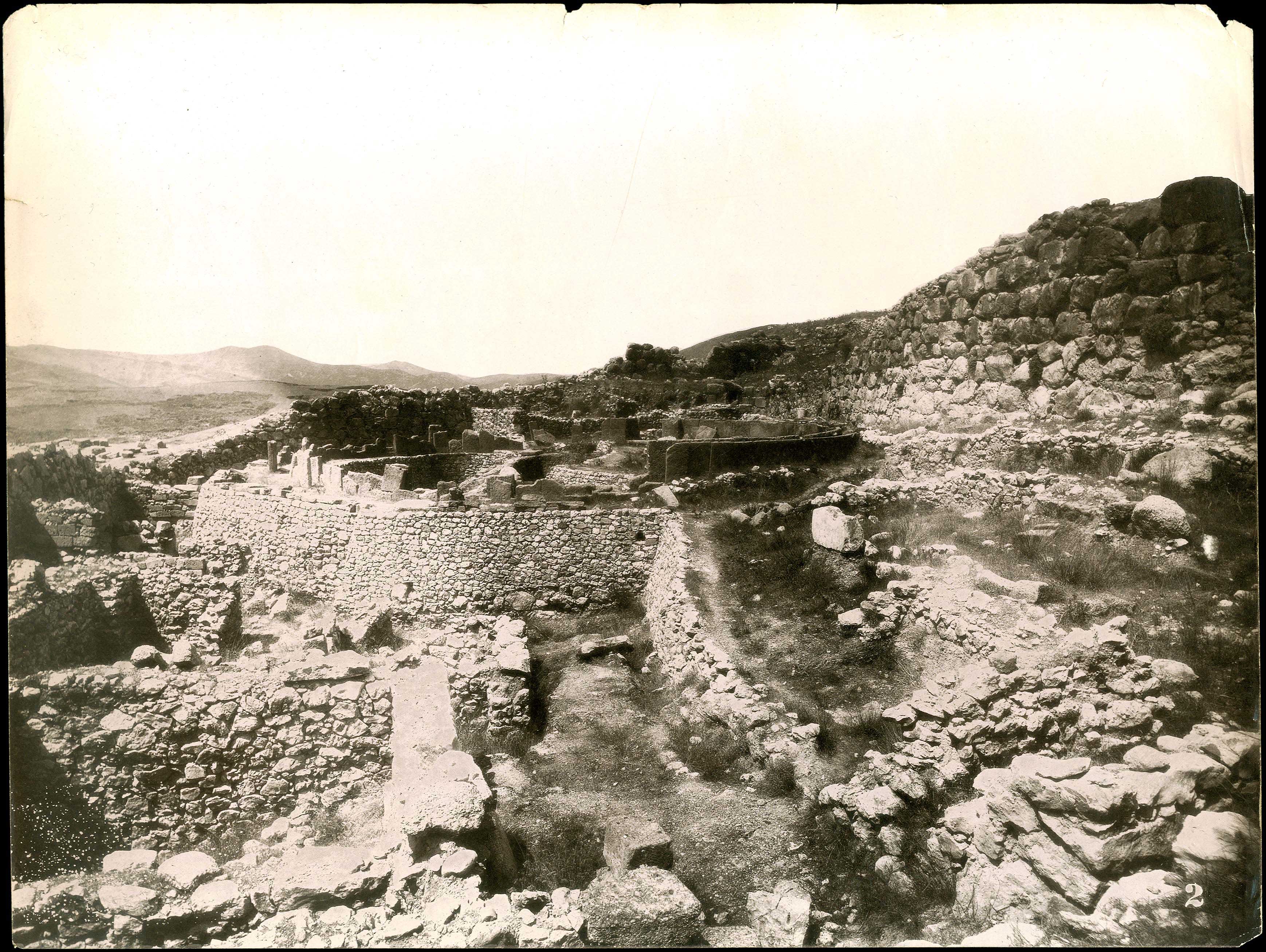 Lot 08833
