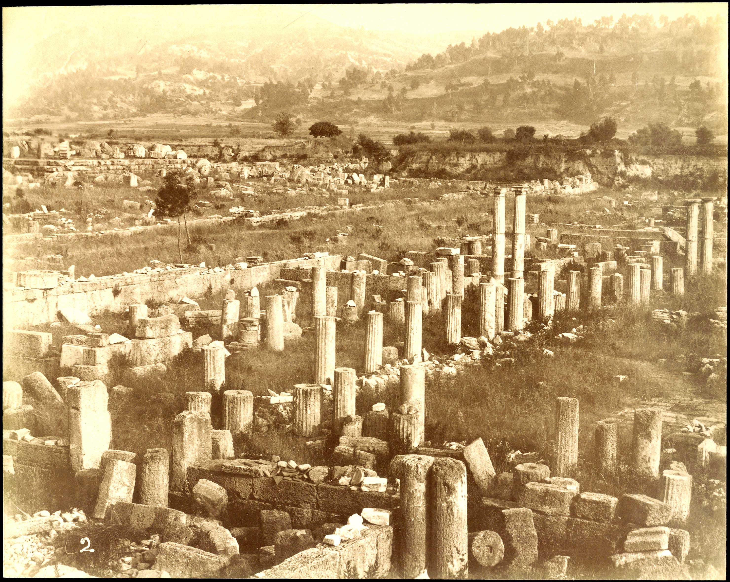 Lot 08829