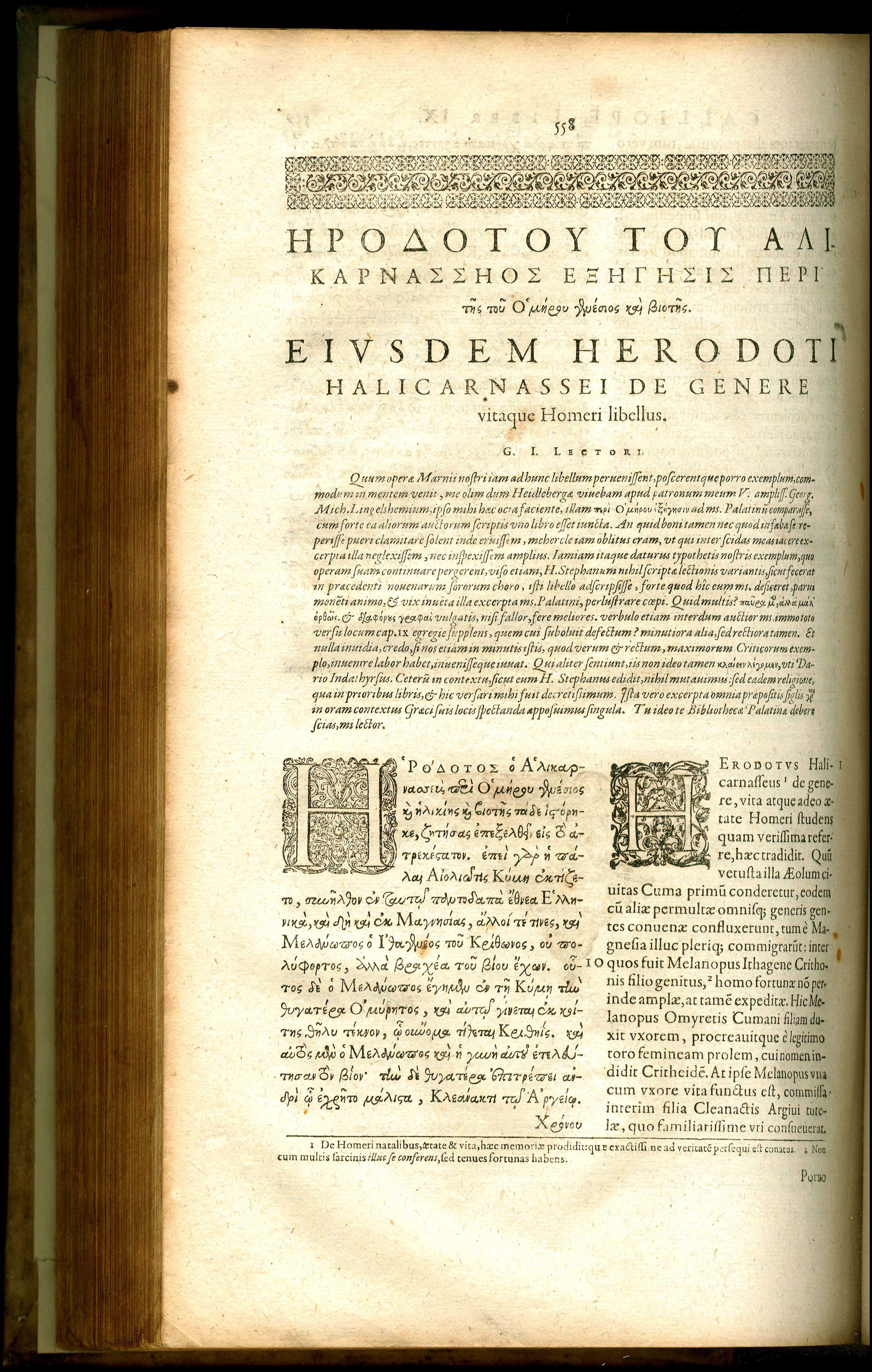 Lot 08007
