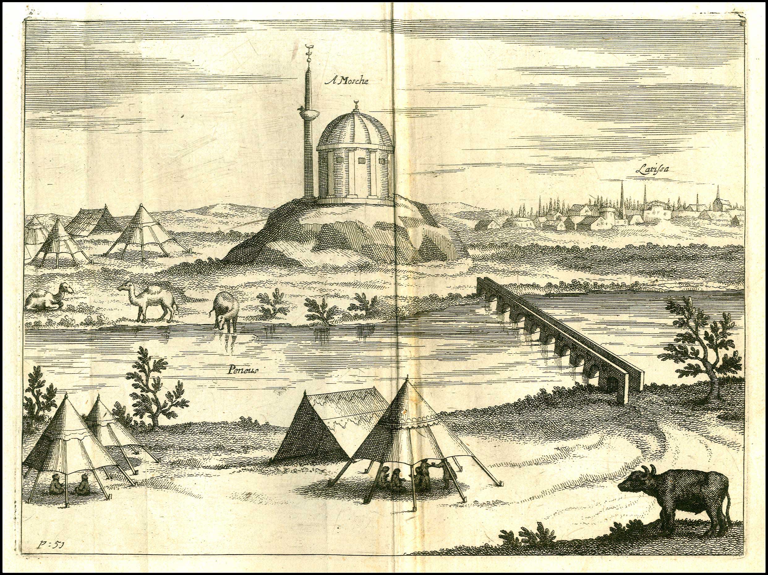 Lot 08021