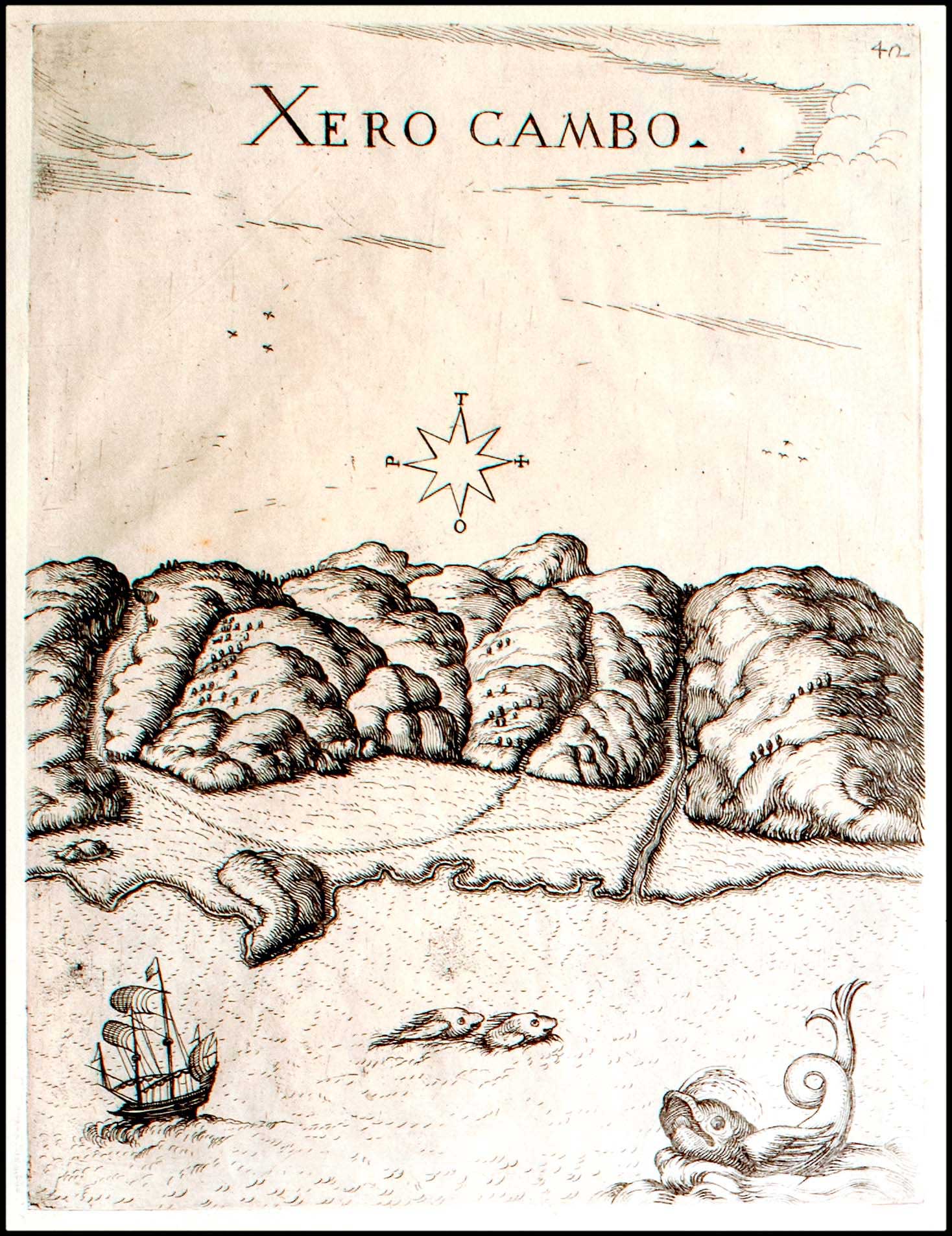 Lot 08994