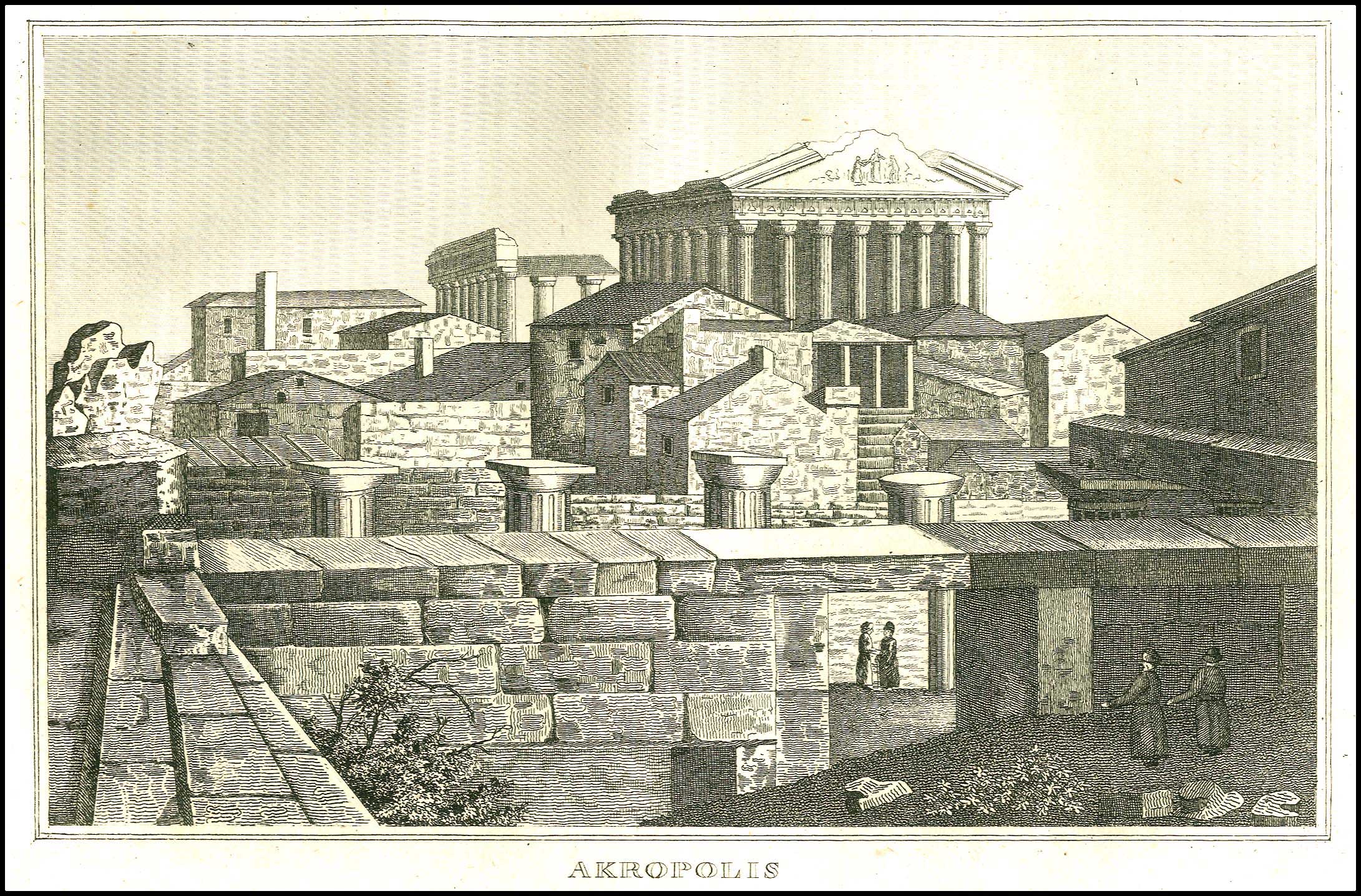 Lot 08157