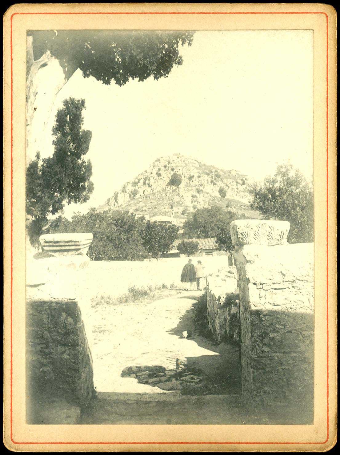 Lot 08782