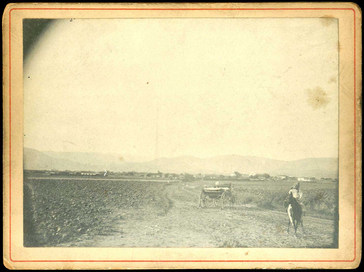 Lot 08782