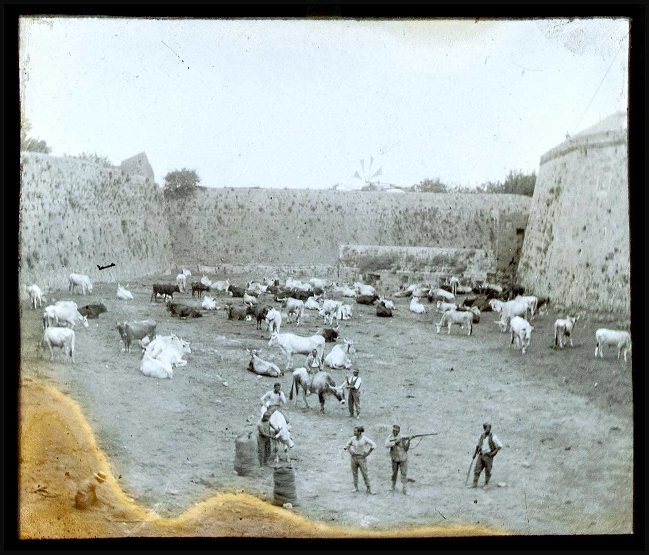Lot 08783