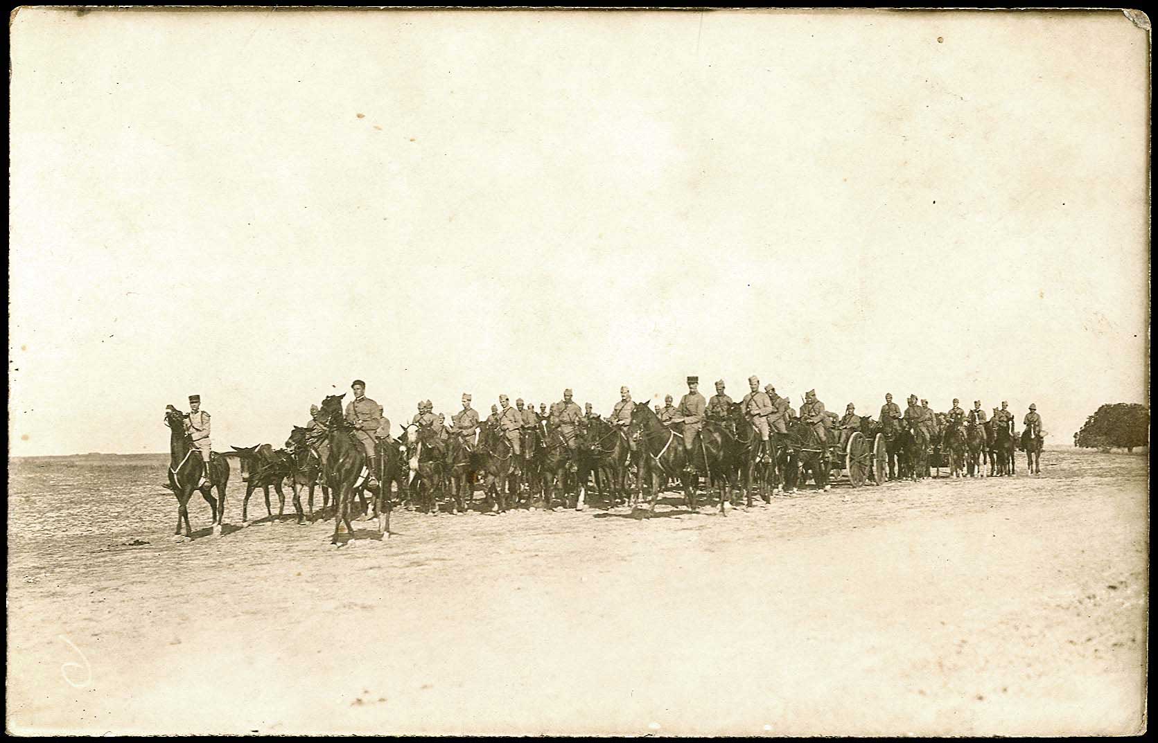 Lot 08800