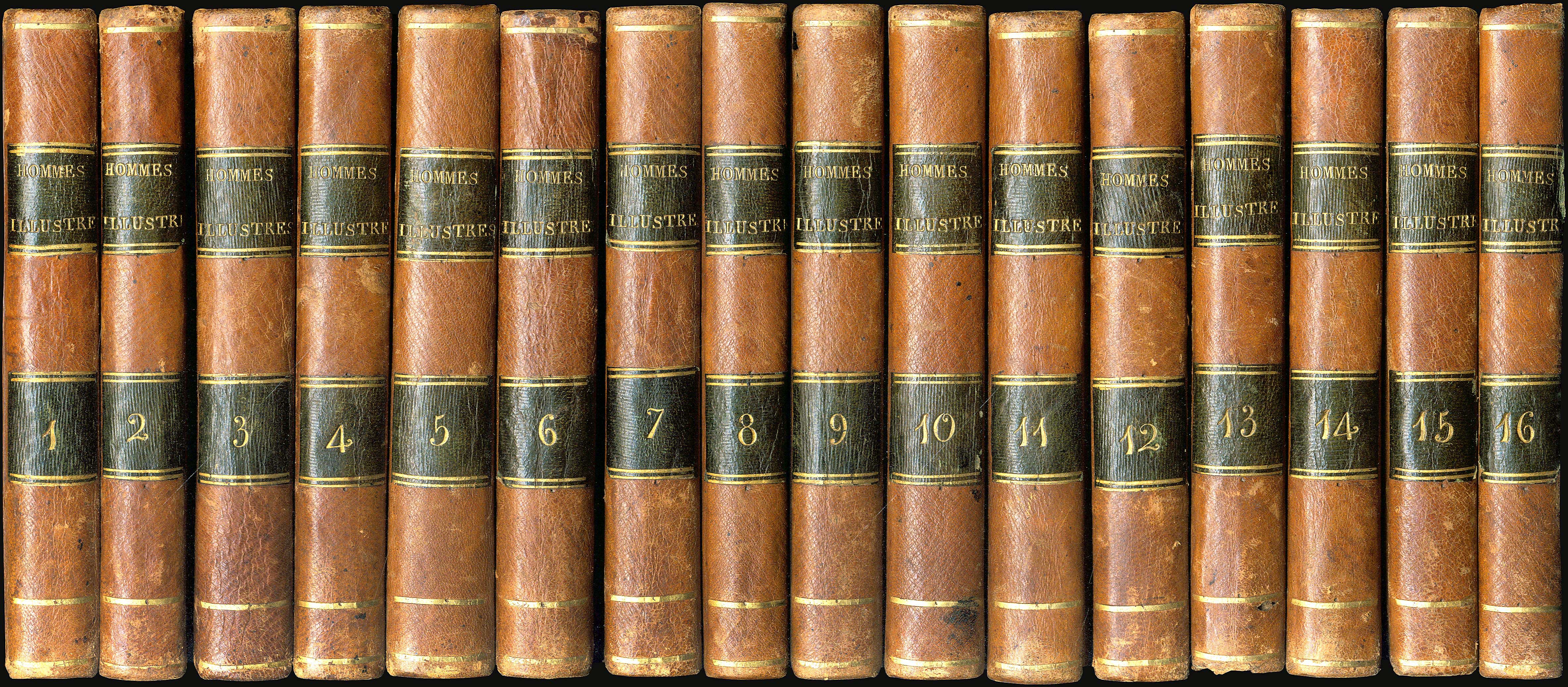 Lot 08041