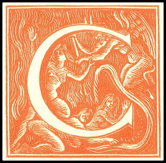 Lot 08783
