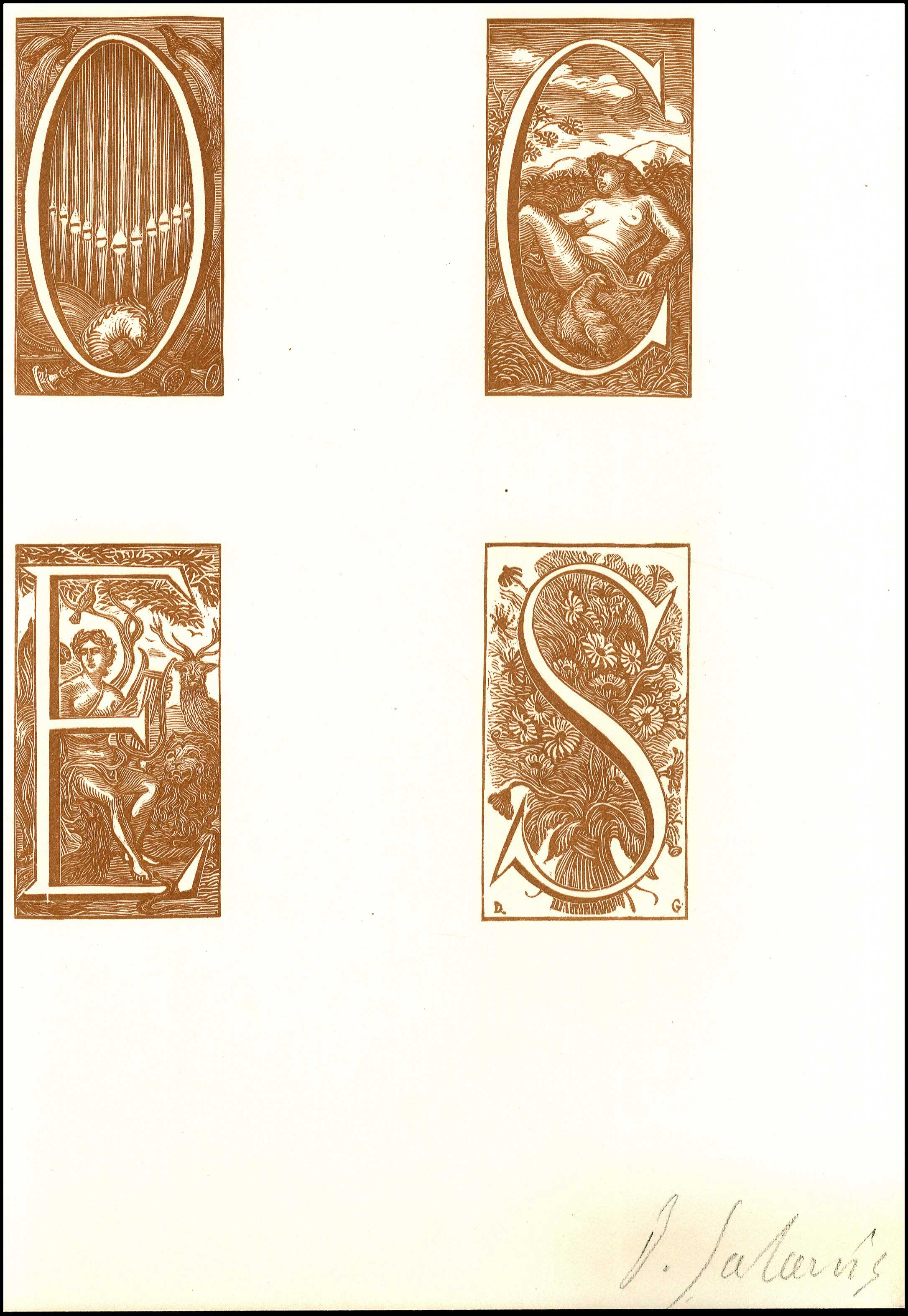 Lot 08781