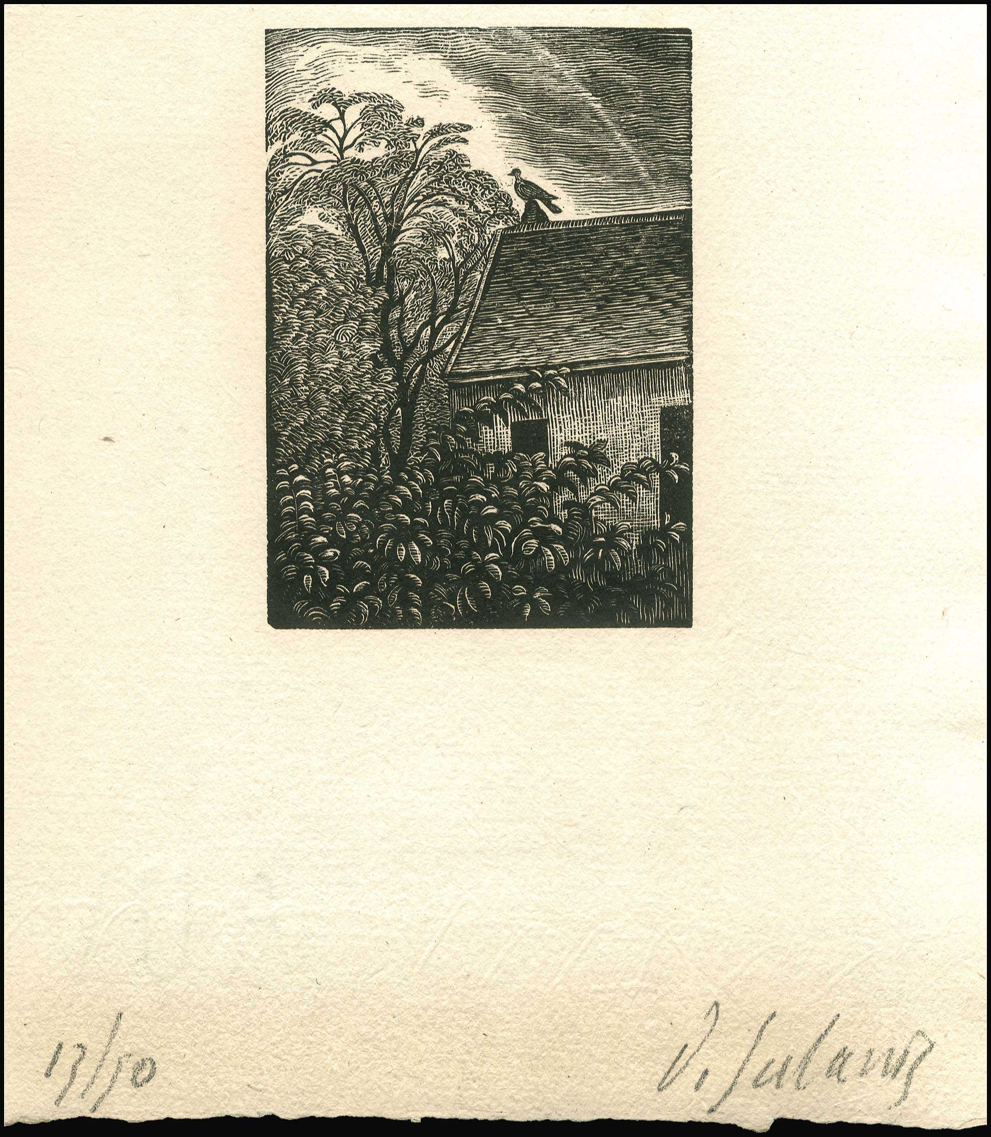 Lot 08482
