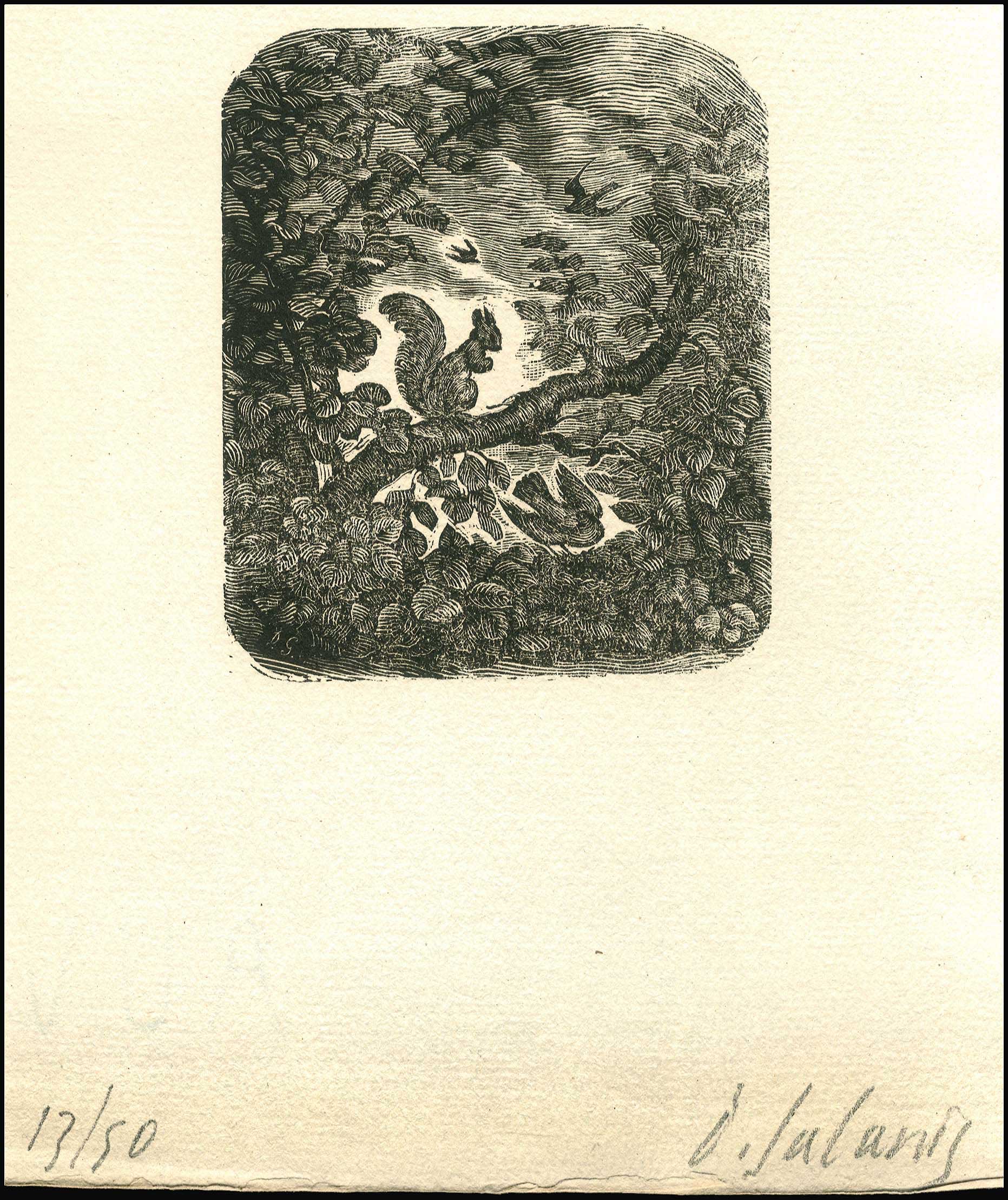 Lot 08482