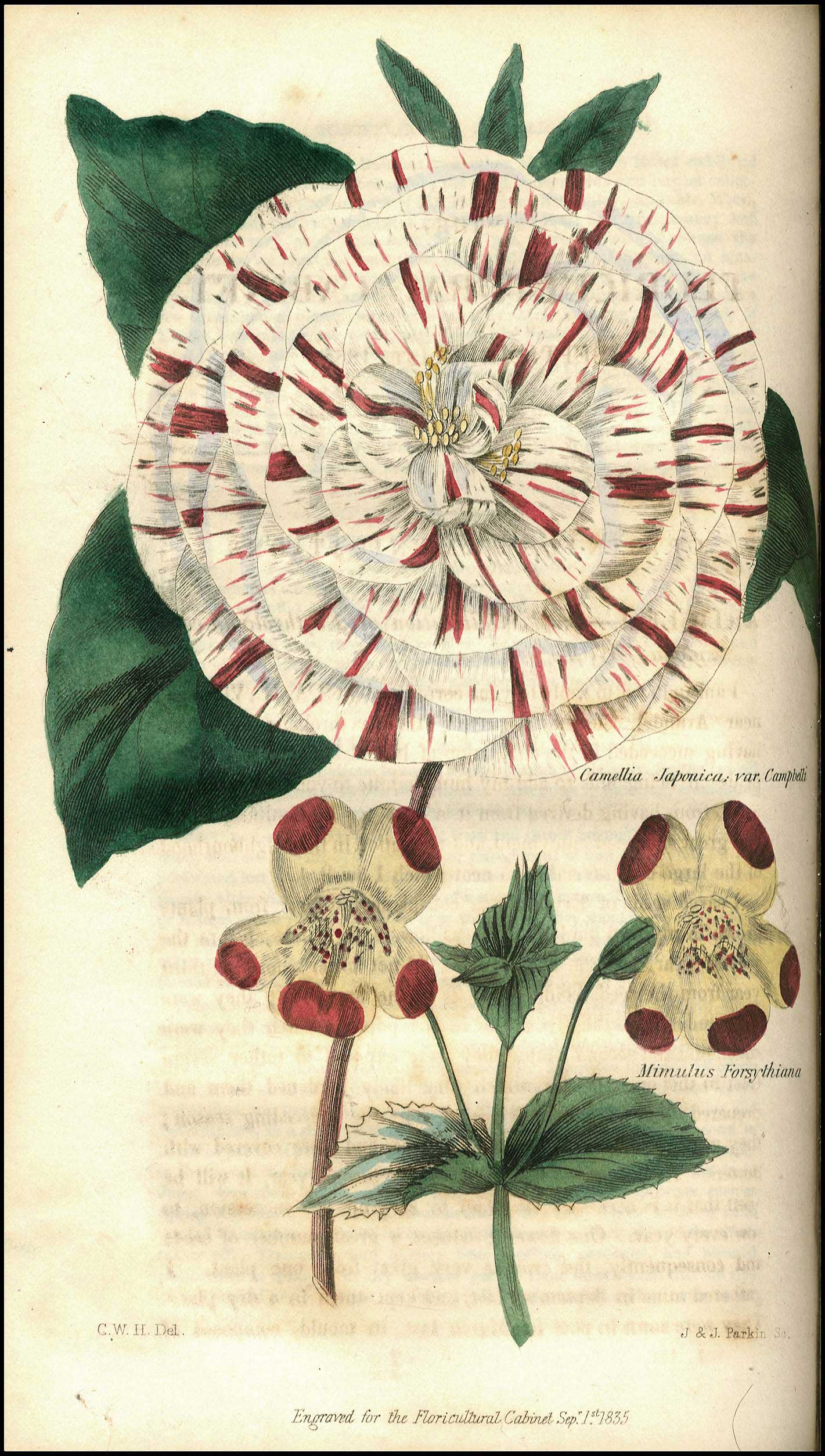Lot 08798