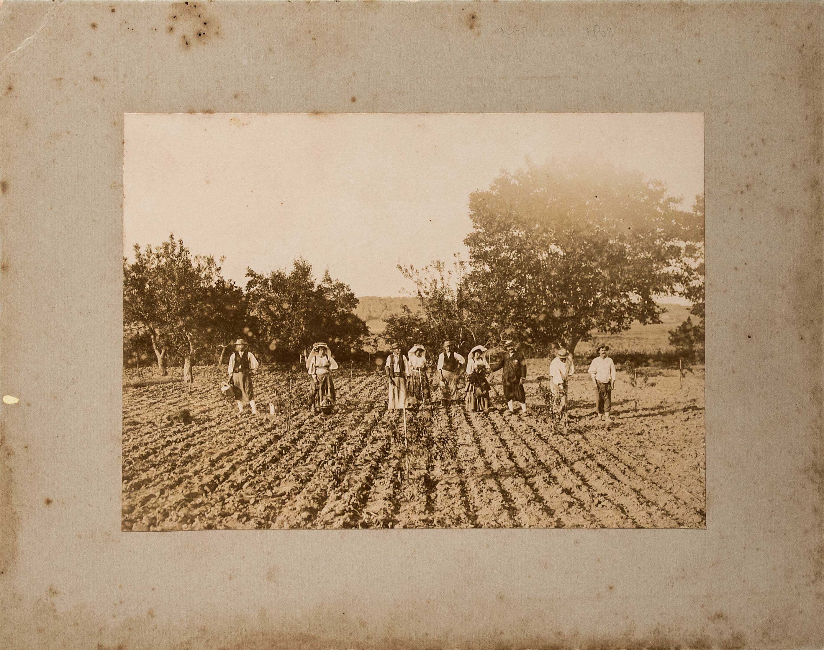 Lot 08964