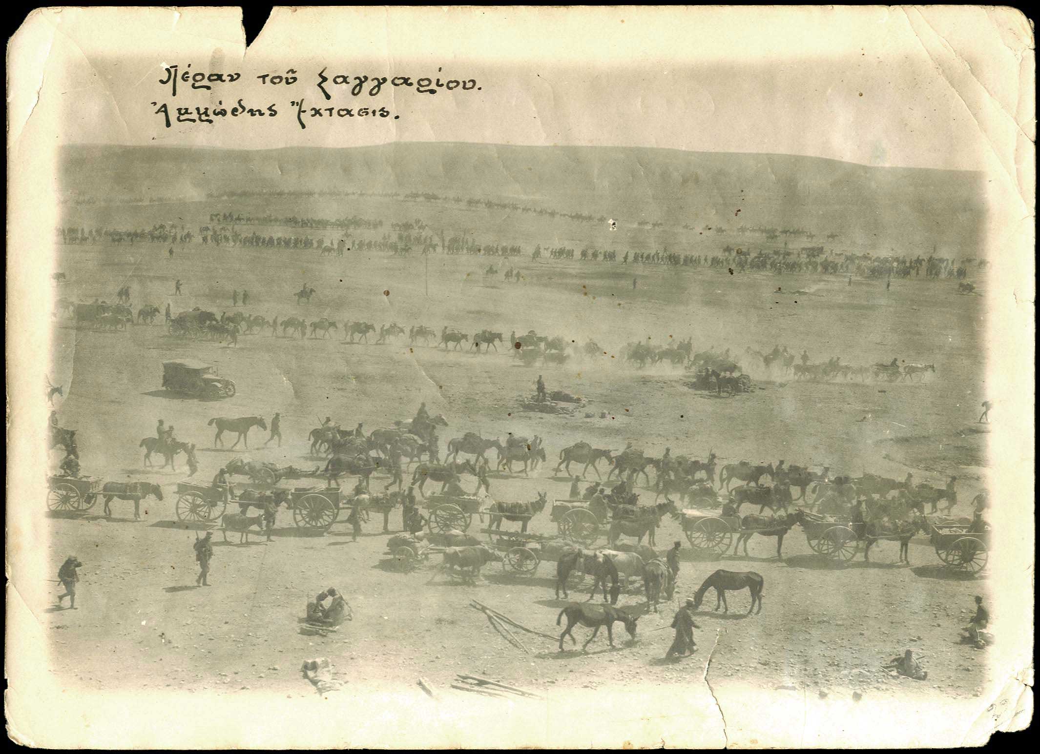 Lot 08959