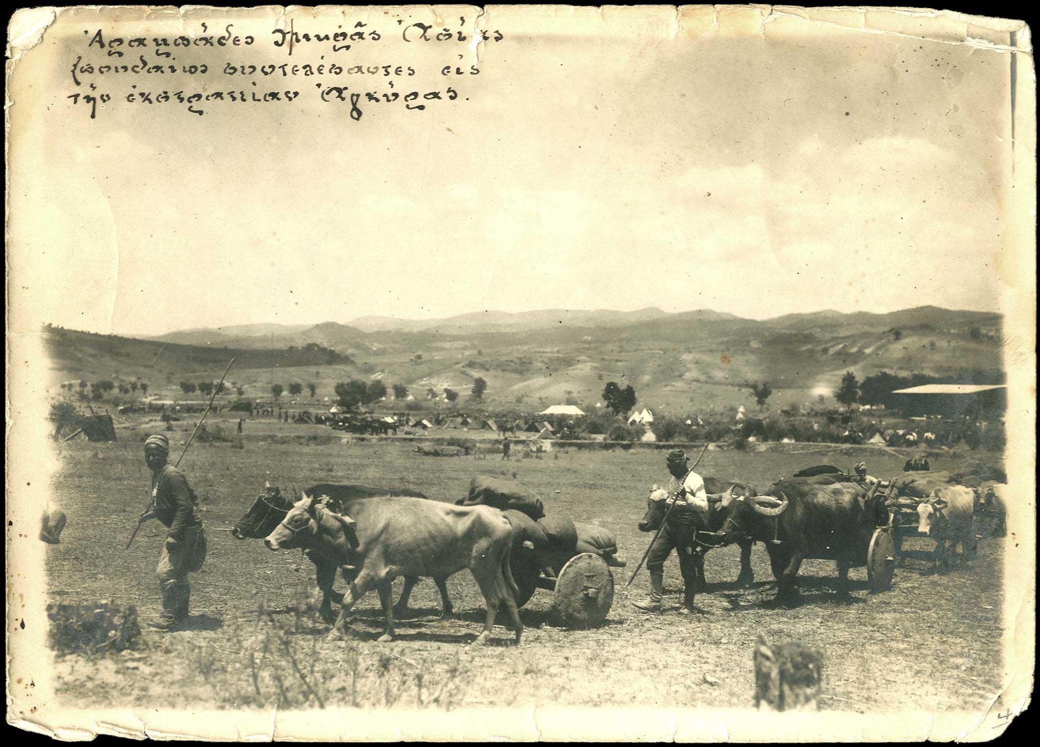 Lot 08961