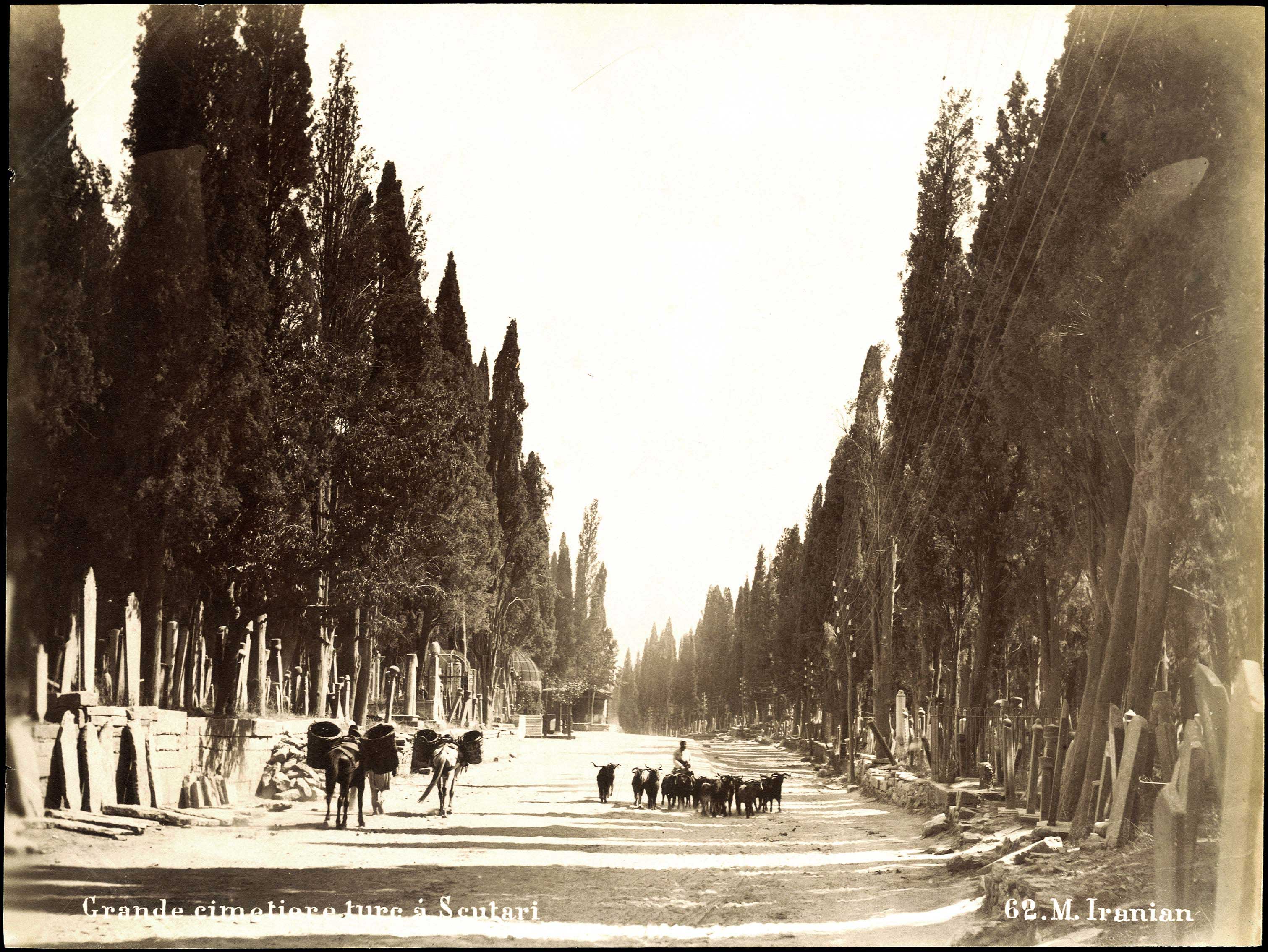 Lot 09012