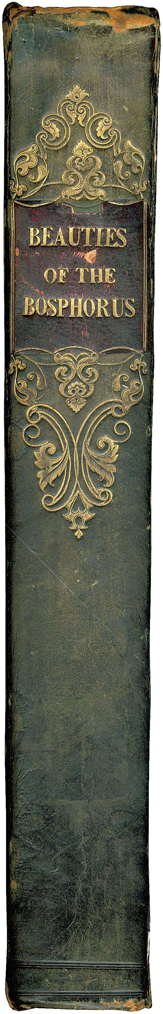 Lot 08203
