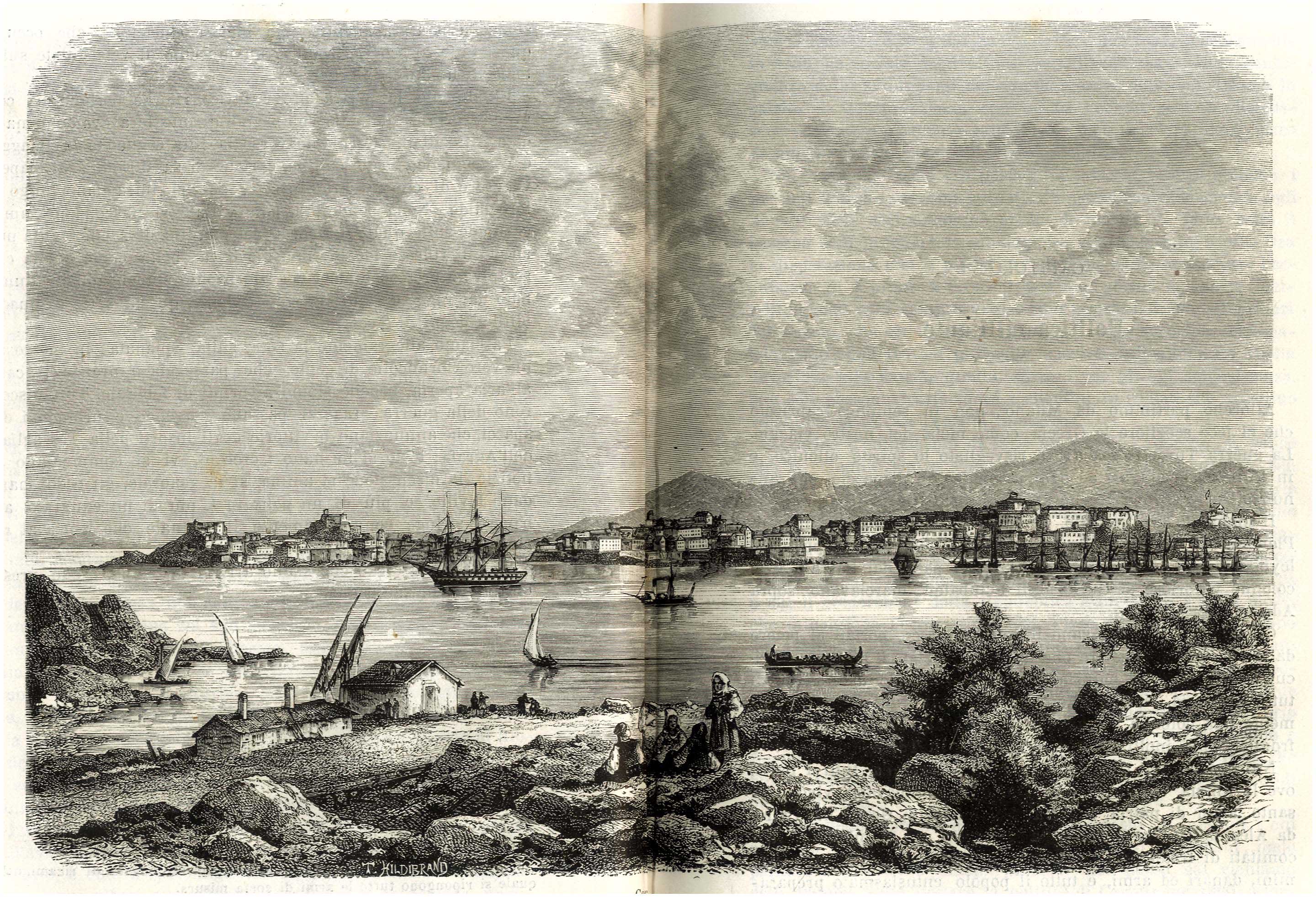 Lot 08217