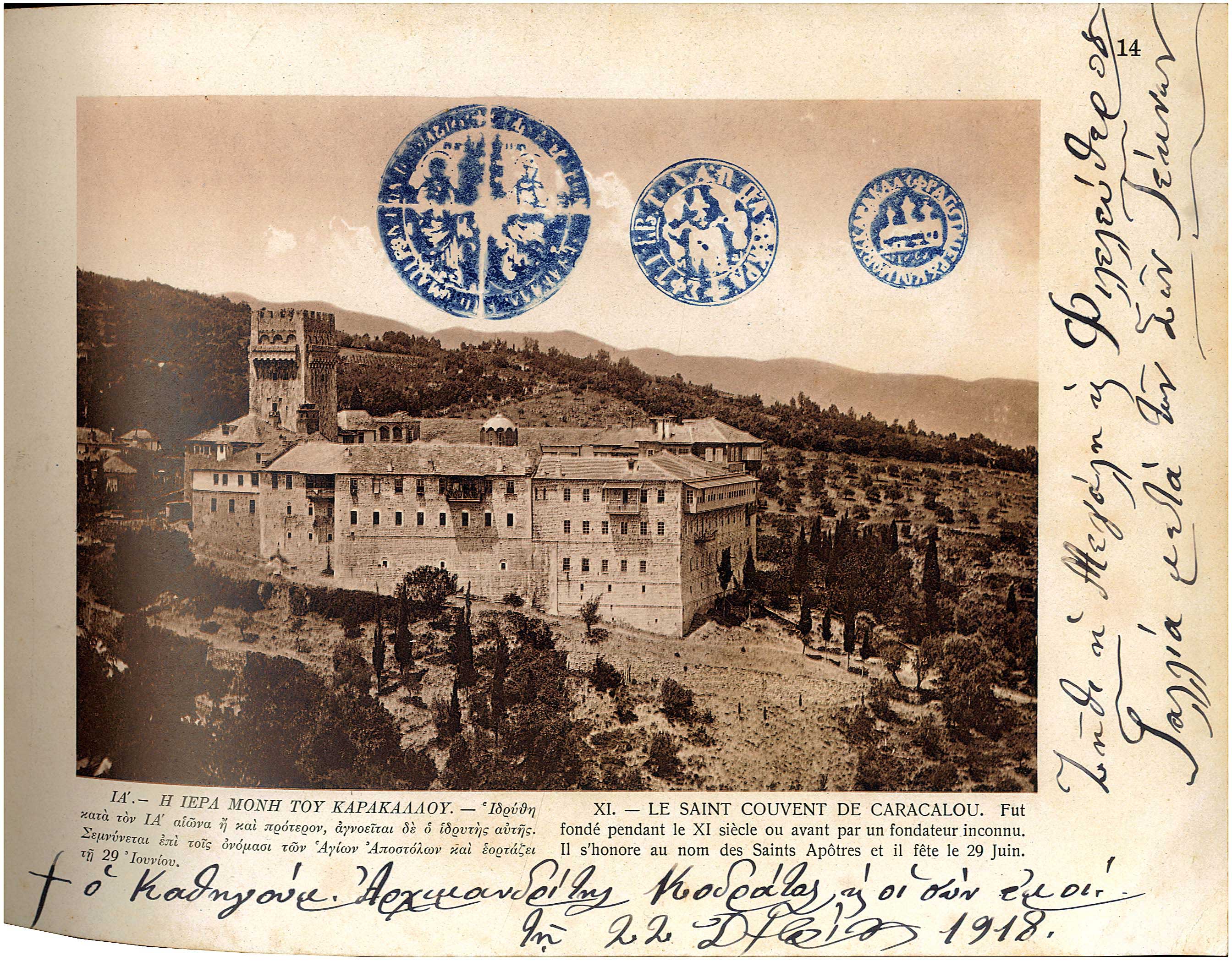Lot 08951