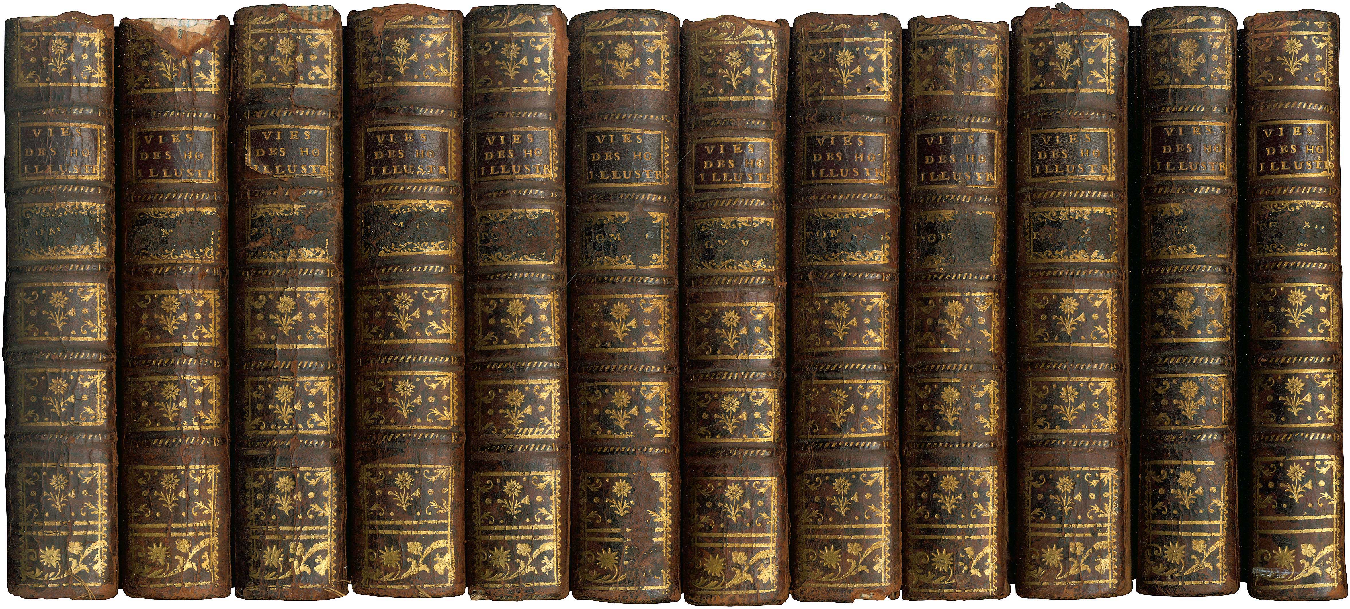 Lot 08035