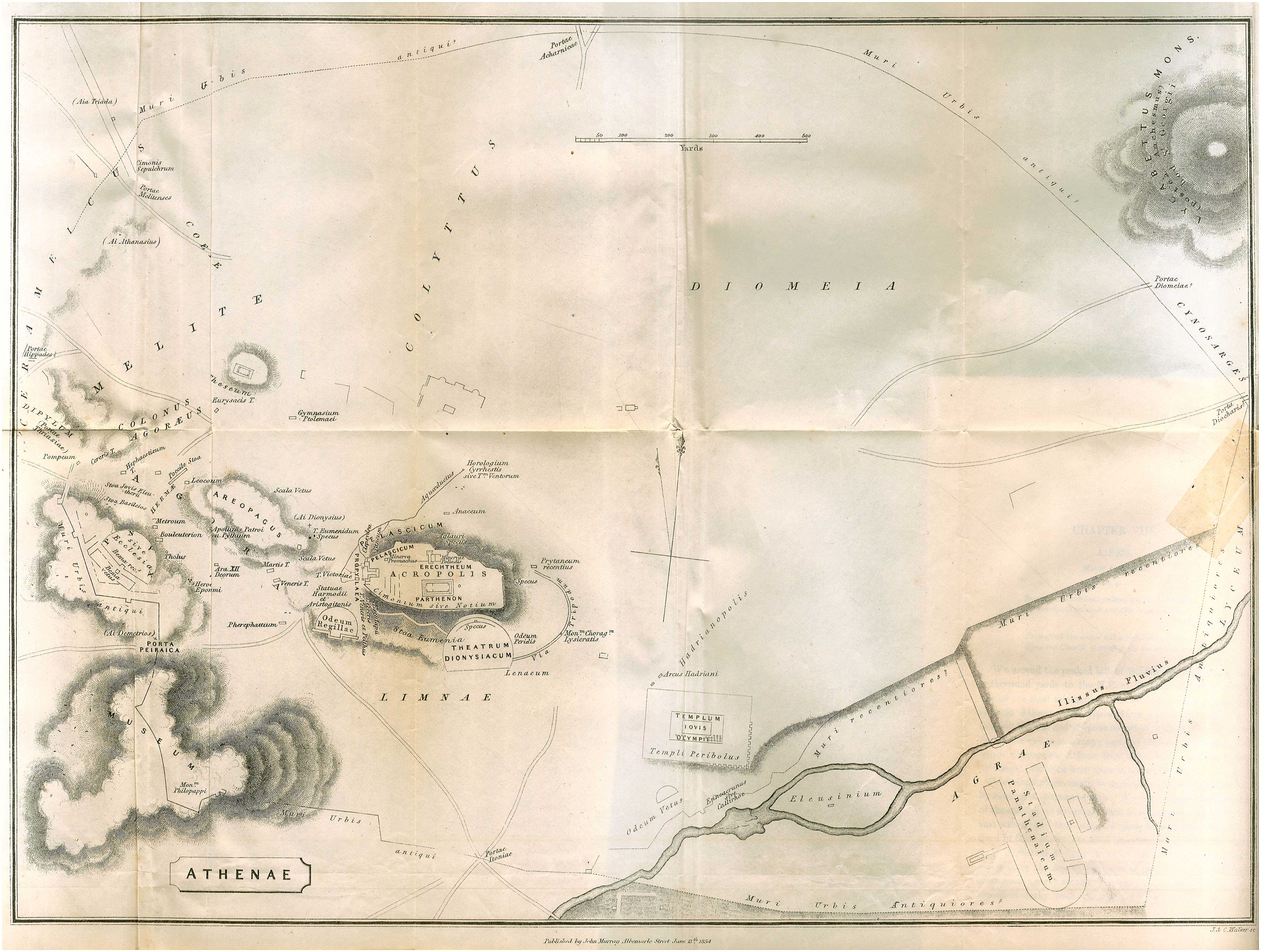 Lot 08278