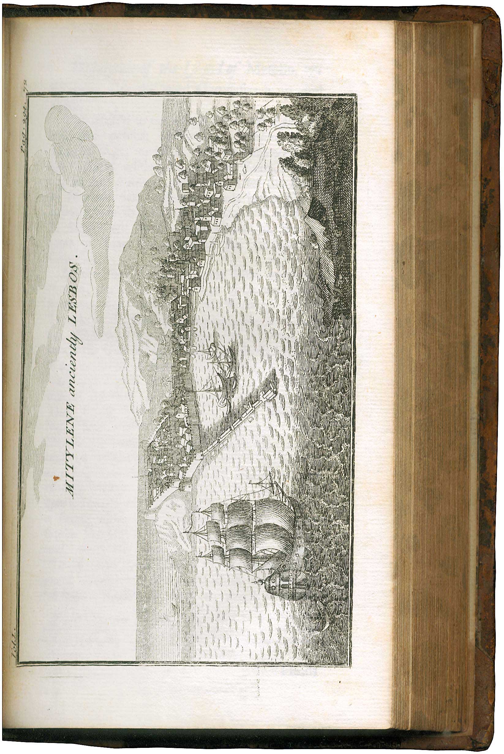 Lot 08185