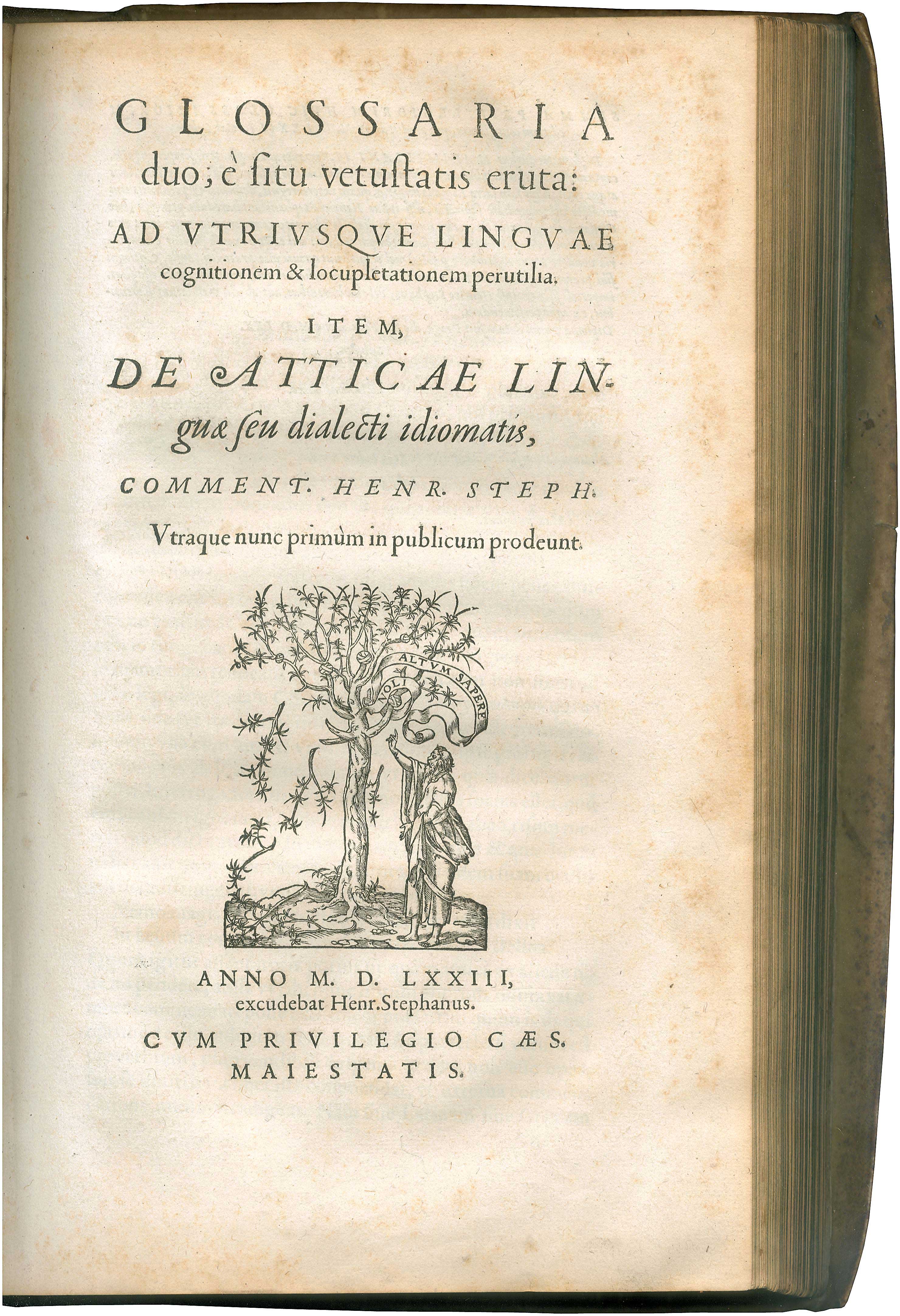 Lot 08046