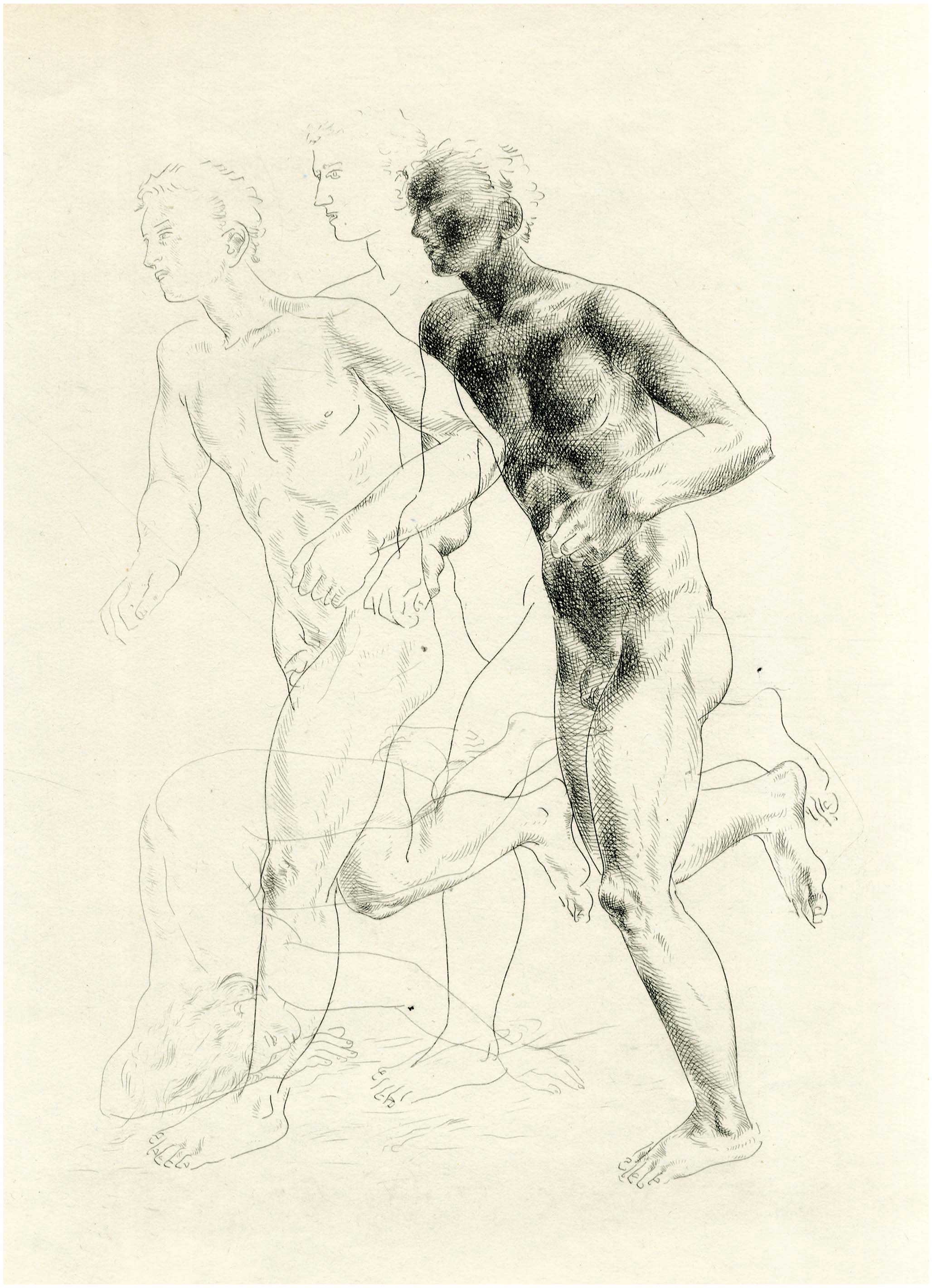 Lot 08516