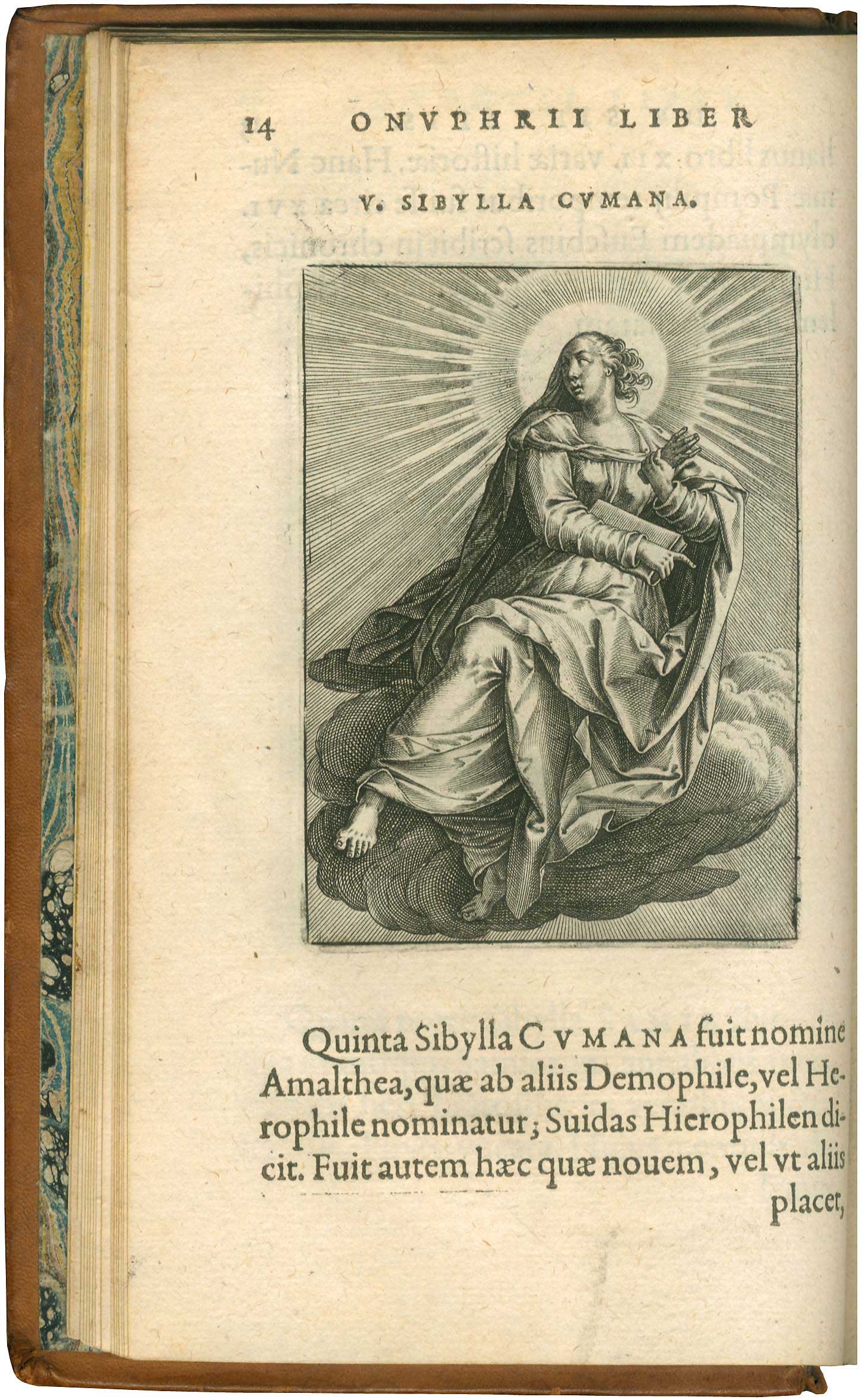 Lot 08004
