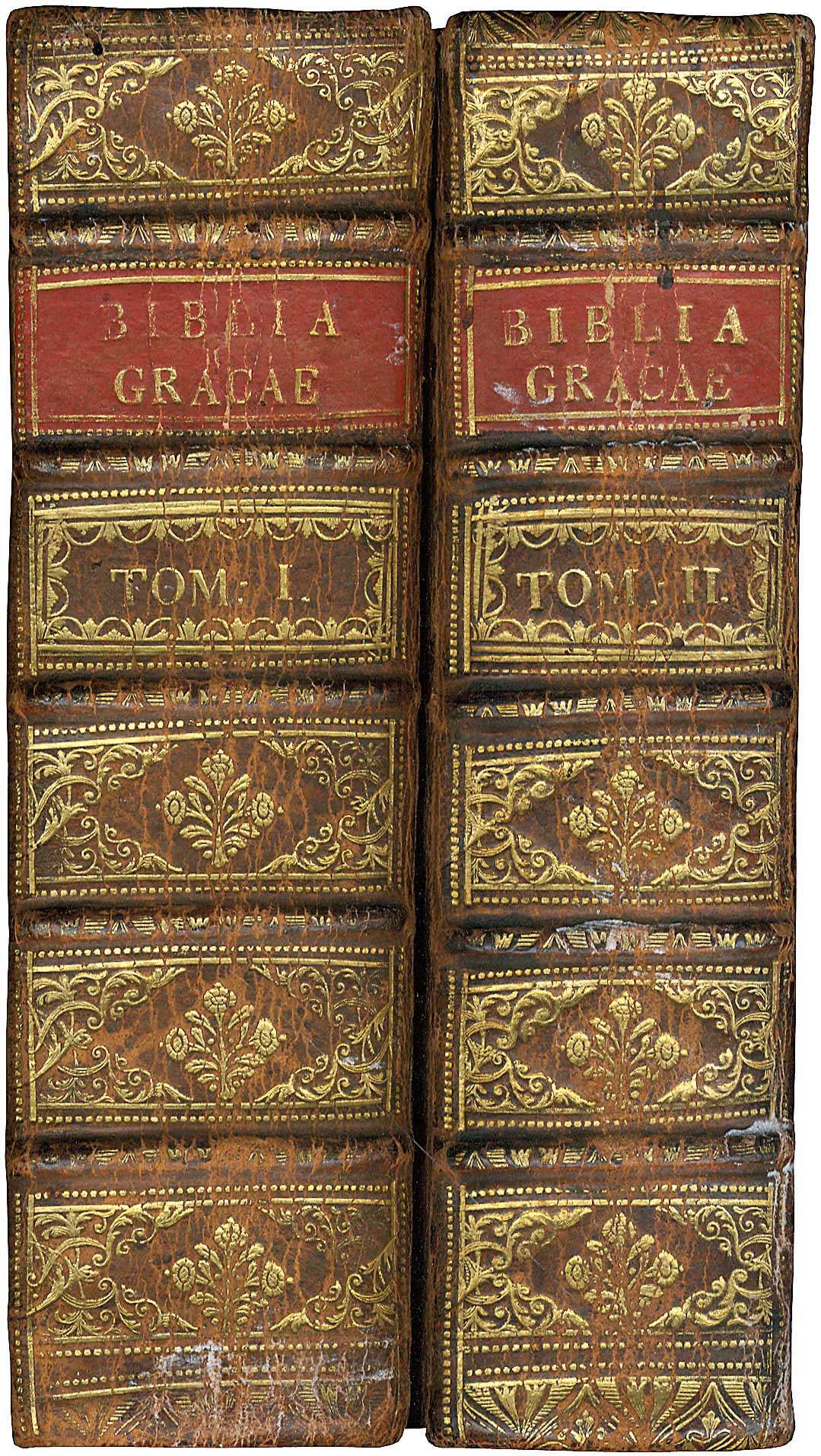Lot 08310