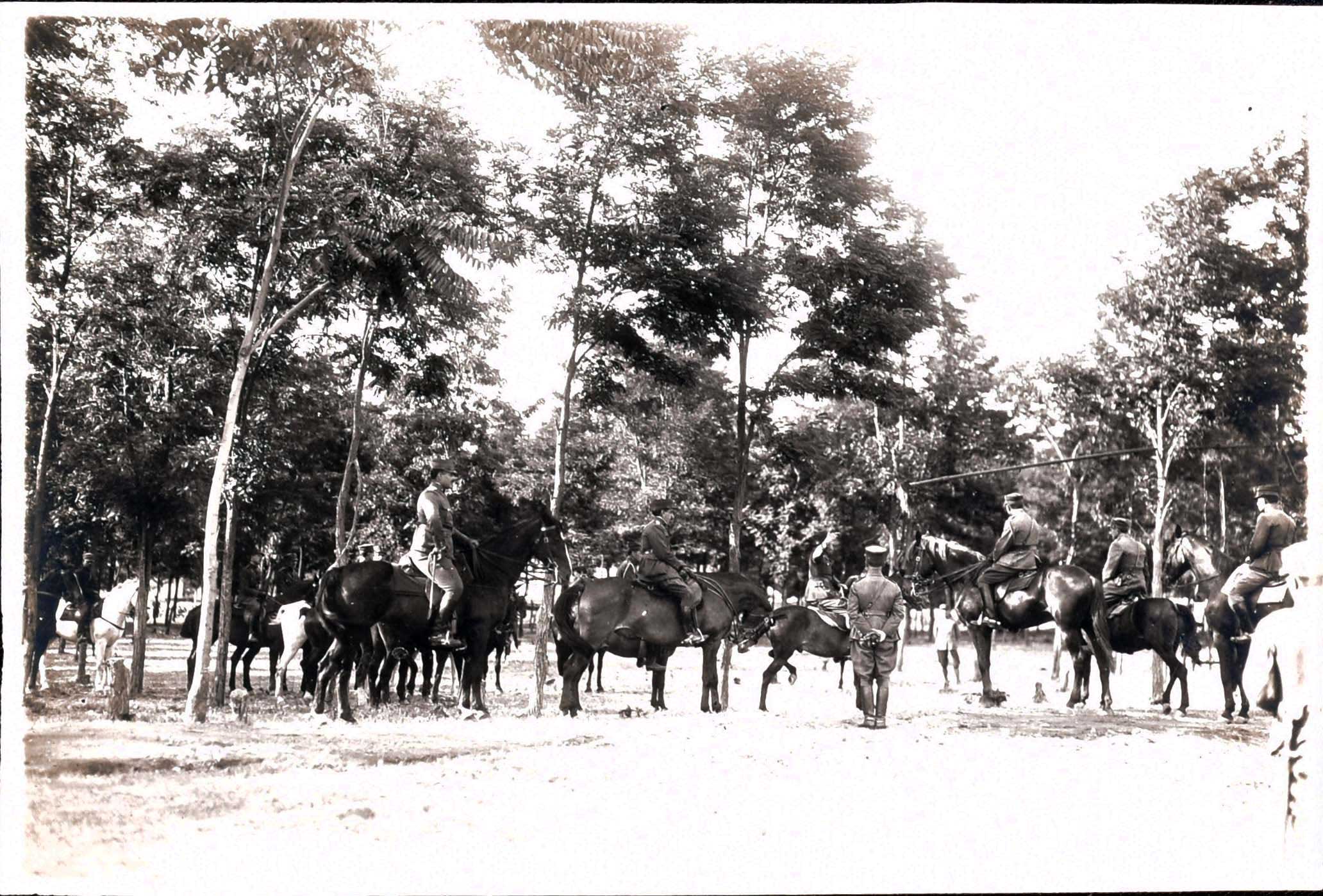 Lot 09050