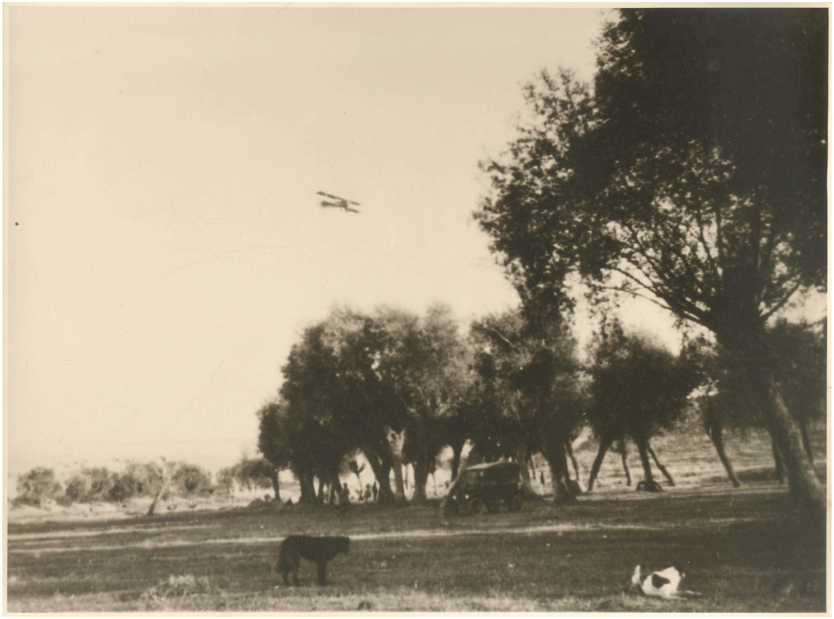 Lot 08408