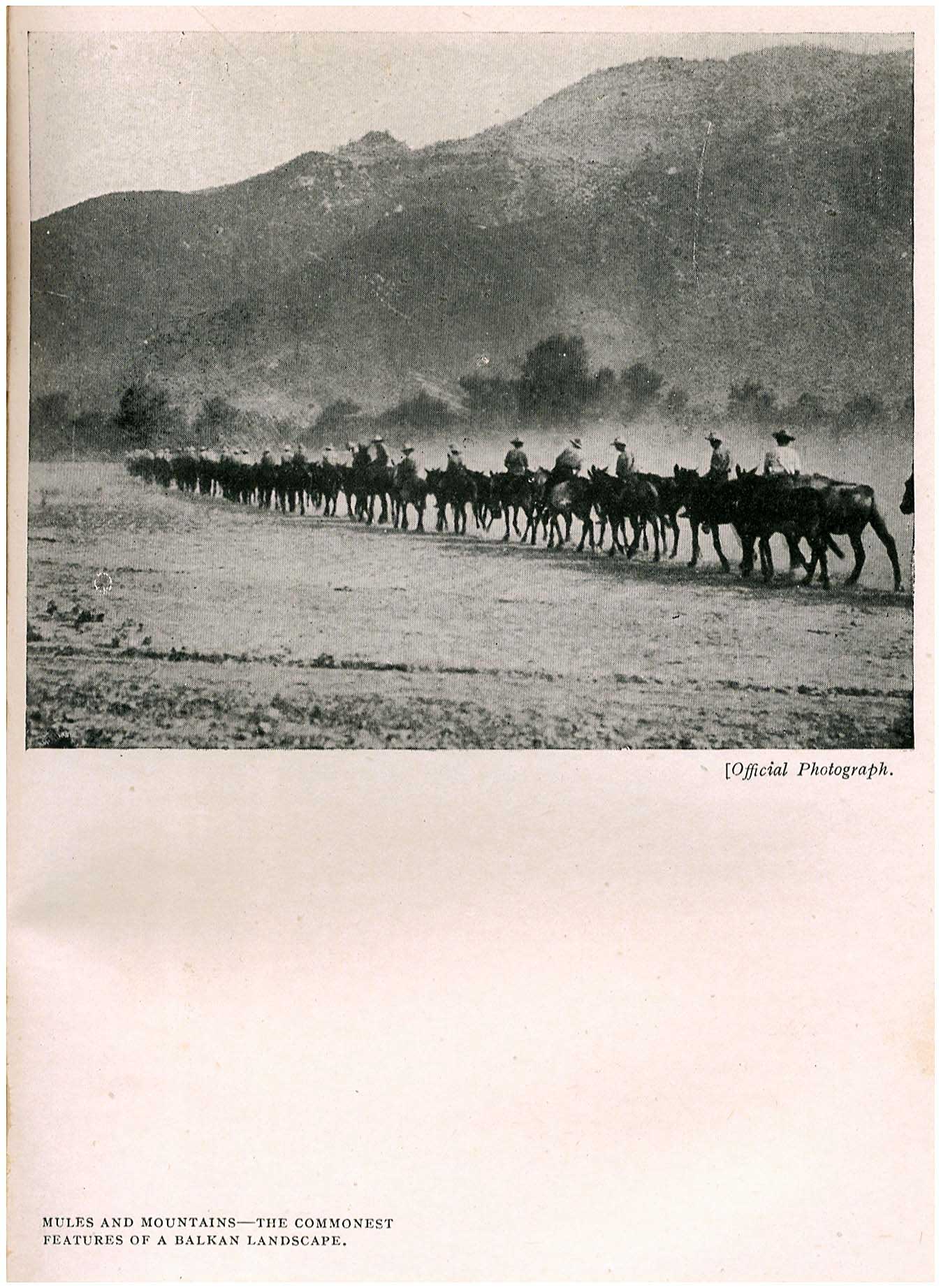 Lot 08336
