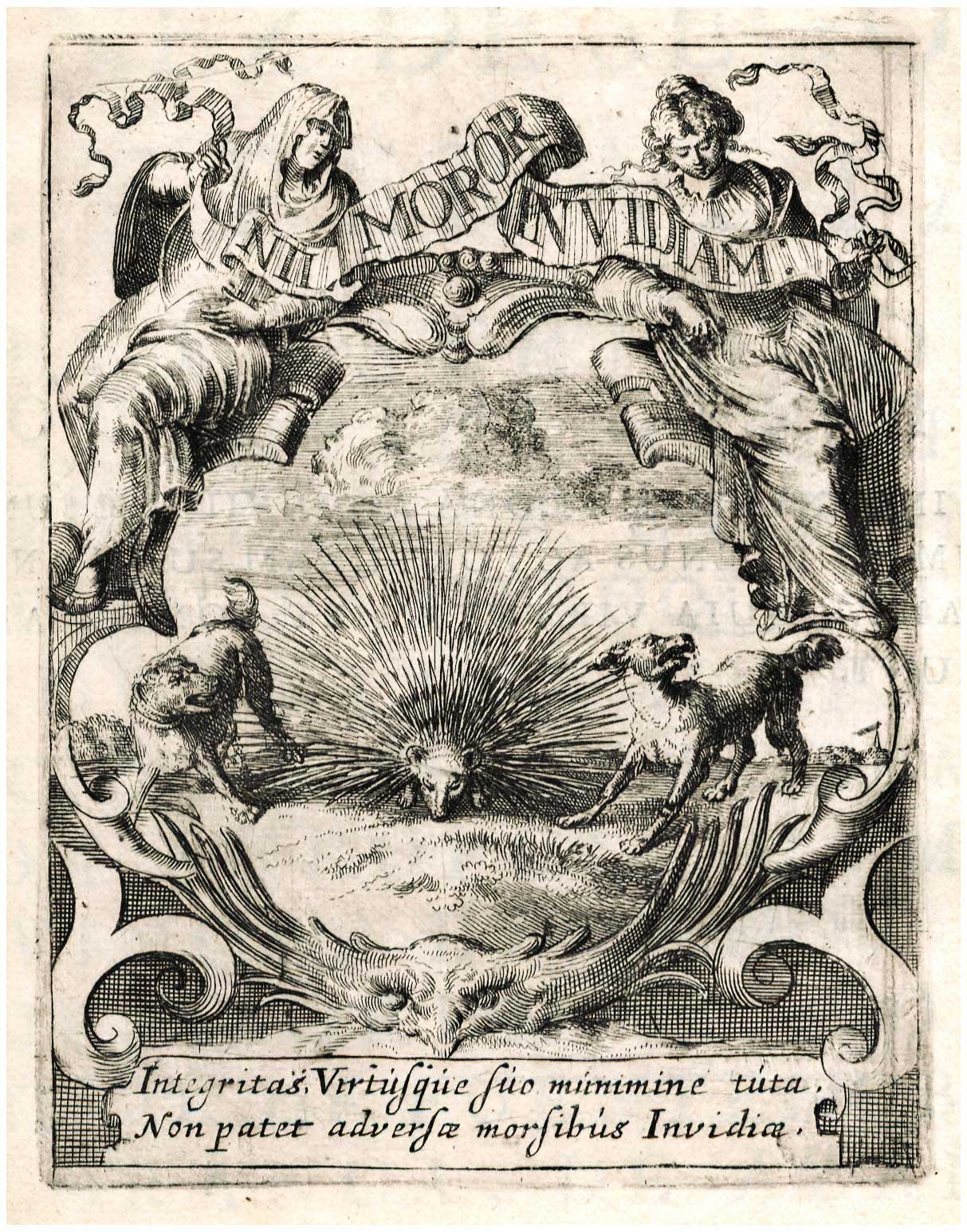 Lot 08016