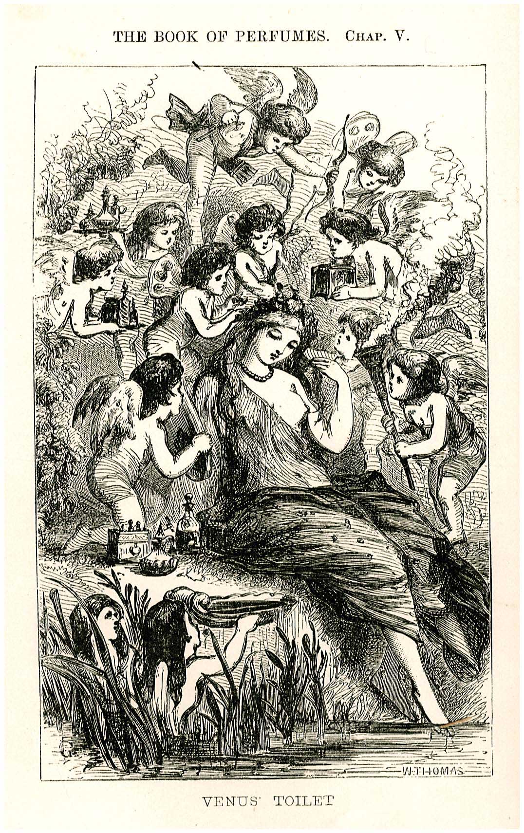 Lot 08646