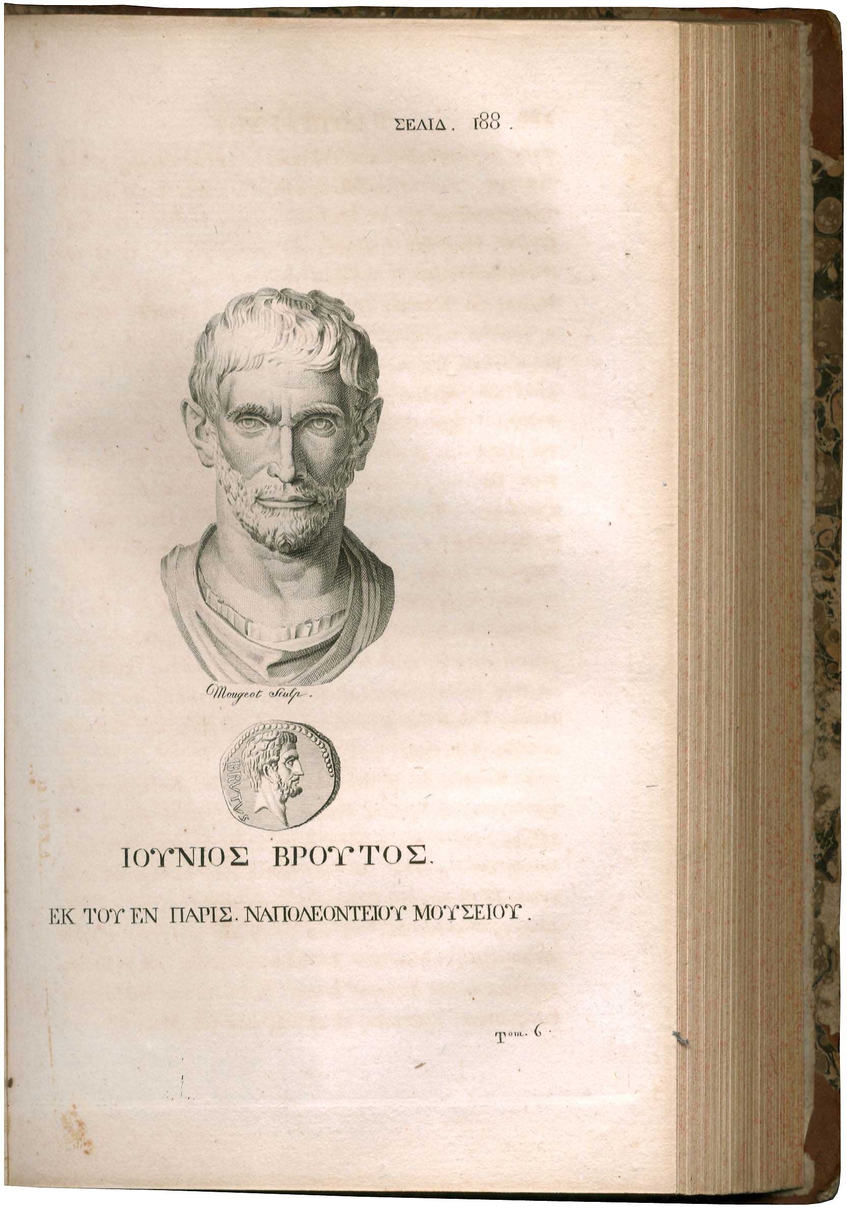 Lot 08028