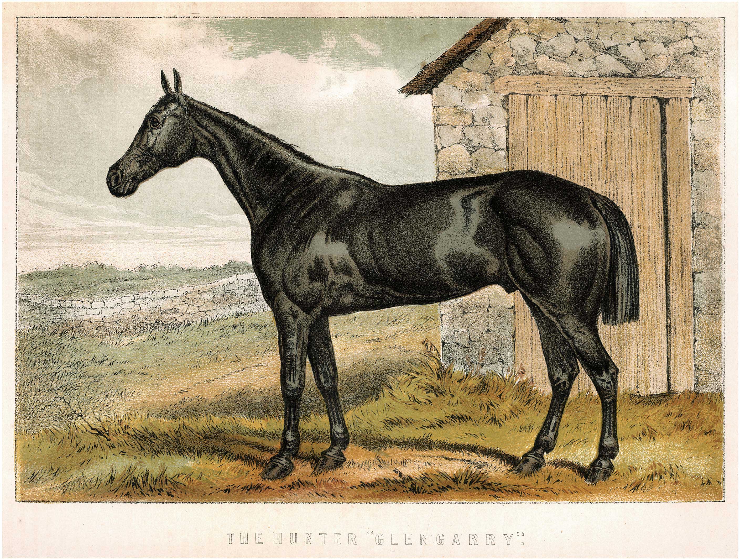 Lot 08177